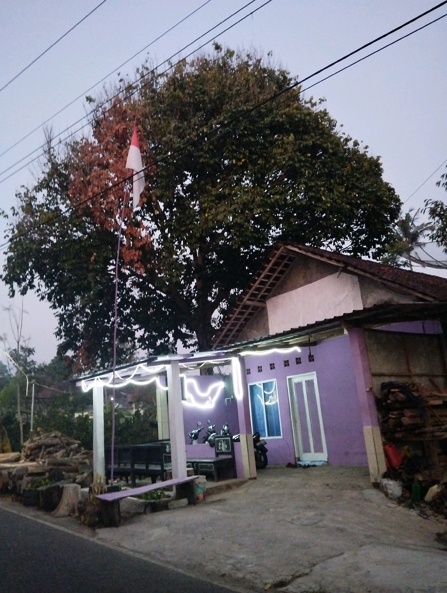 The image captures a residential scene in Salatiga, Indonesia. A purple-painted house with white trim is visible, featuring a covered porch area adorned with string lights. Two motorcycles are parked under the porch. A large tree with some brown foliage stands behind the house, and an Indonesian flag is mounted on a pole near it. A pile of cut logs is situated to the left of the house, near a roadside. The ground in front of the house is paved concrete. The sky is overcast, suggesting it may be early morning or late evening.
