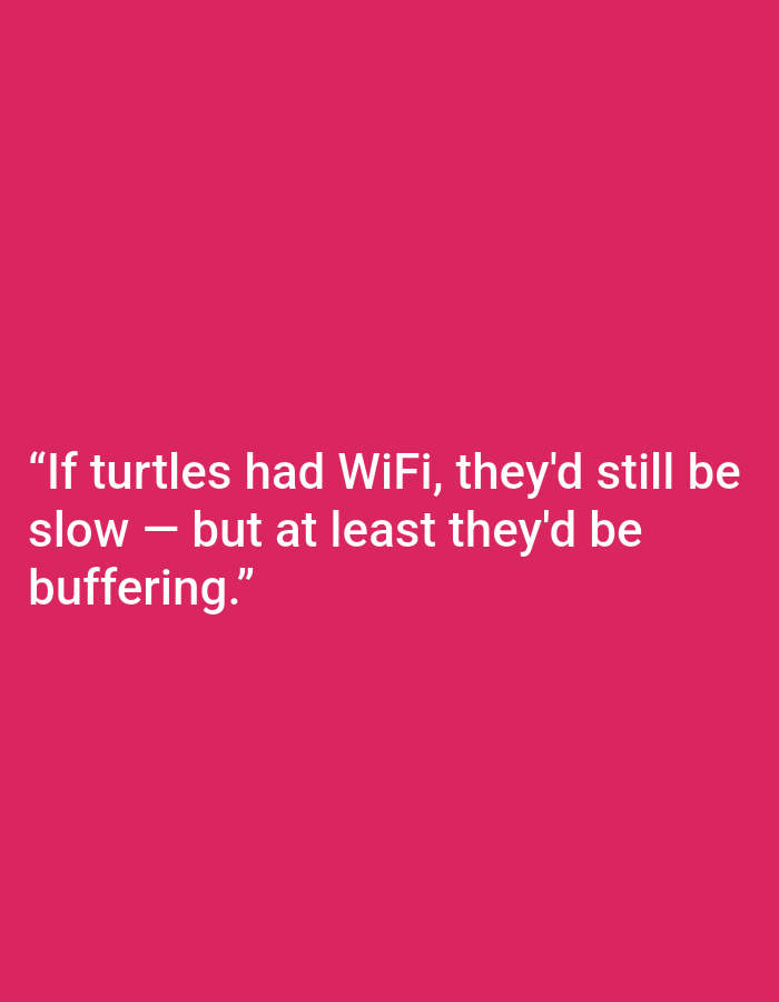 The image contains a white quote on a pink background. The quote reads: "If turtles had WiFi, they'd still be slow — but at least they'd be buffering." The image is a photograph of text against a solid colored background. It is not possible to determine the location in the city of Kępno, Poland from the provided image.