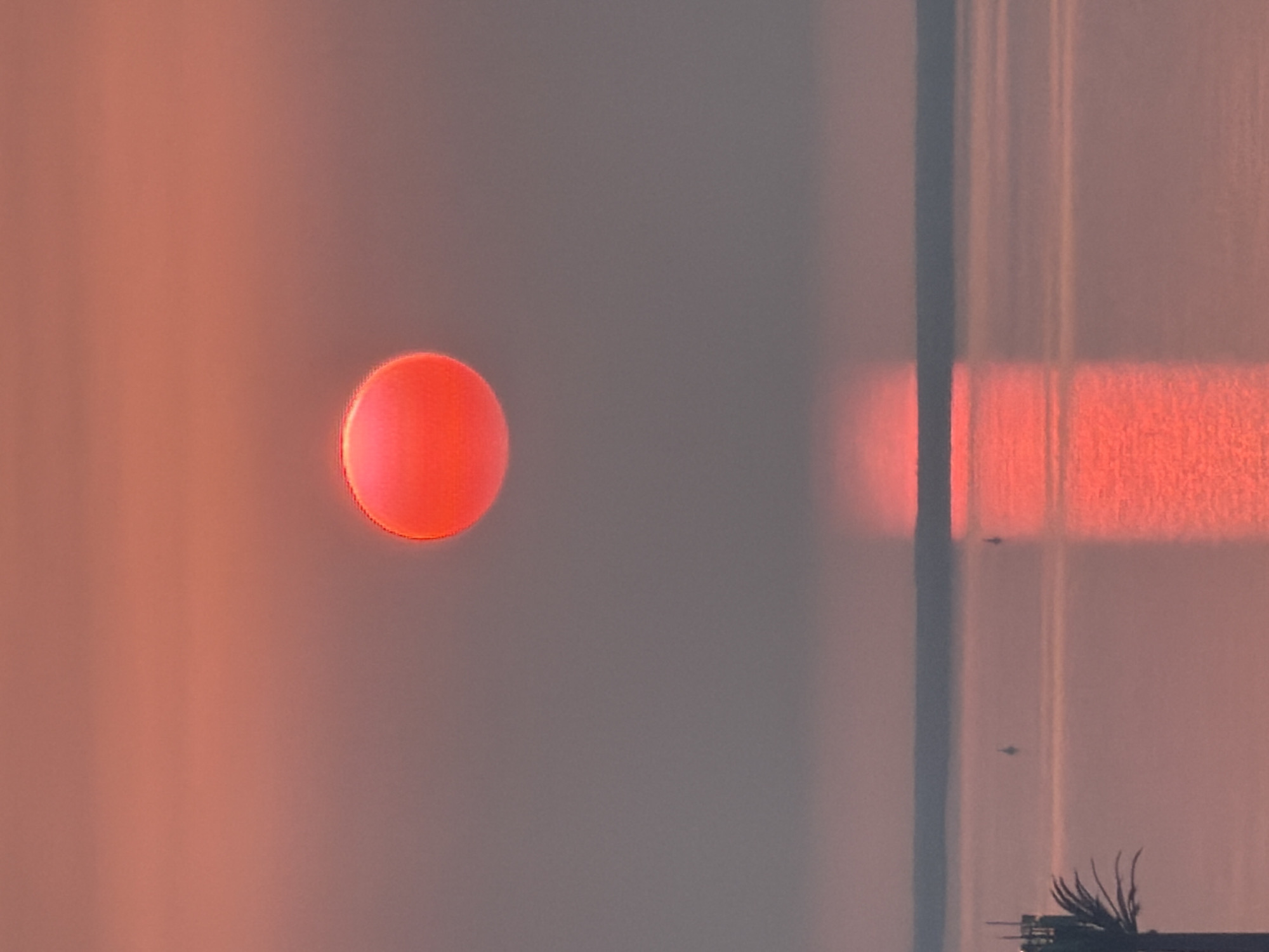 A vibrant, blood-red sun hangs suspended in a hazy, orange-pink sky. Its reflection shimmers on a vast expanse of calm water, creating a mirror image that stretches towards a distant, dark horizon line. The water's surface is broken by subtle ripples, and two small buoys are visible in the middle ground. To the left, the dark silhouette of a palm tree extends from the lower edge of the frame. The overall scene evokes a sense of serene twilight.