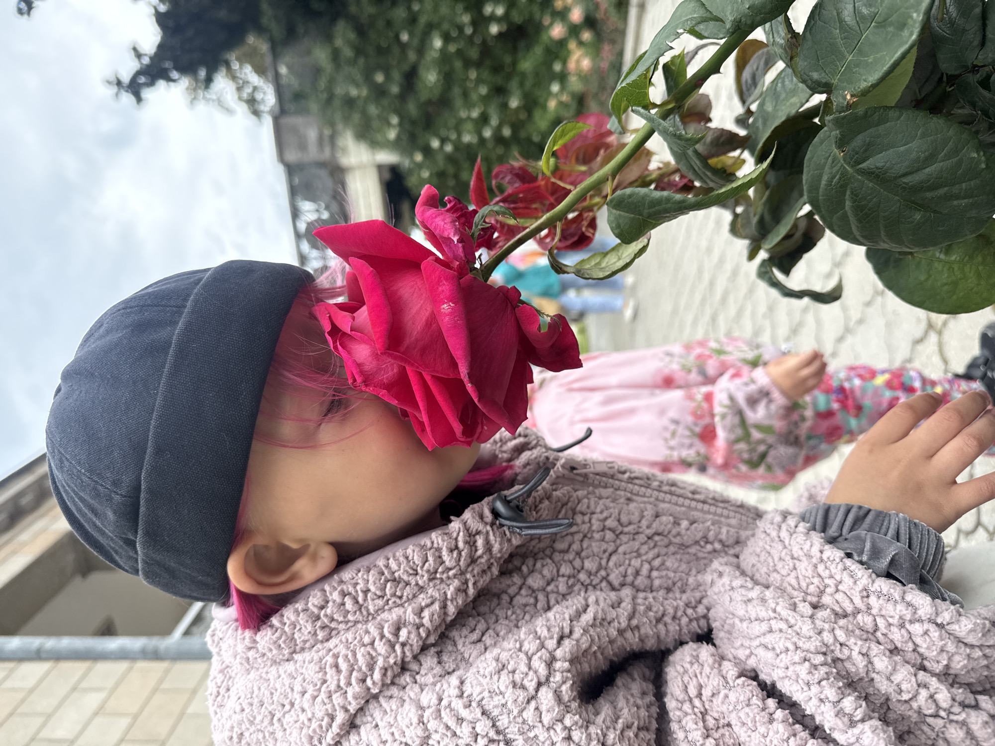 A young child with pink hair and a black beanie stands outside a building, possibly in the city of Unknown, Unknown. A large red rose obscures part of the child's face. The child wears a light purple, fuzzy jacket with grey trim on the cuffs. Another child, clad in a floral dress, lies on a white surface in the background. The area also features various plants and a glimpse of the building exterior.