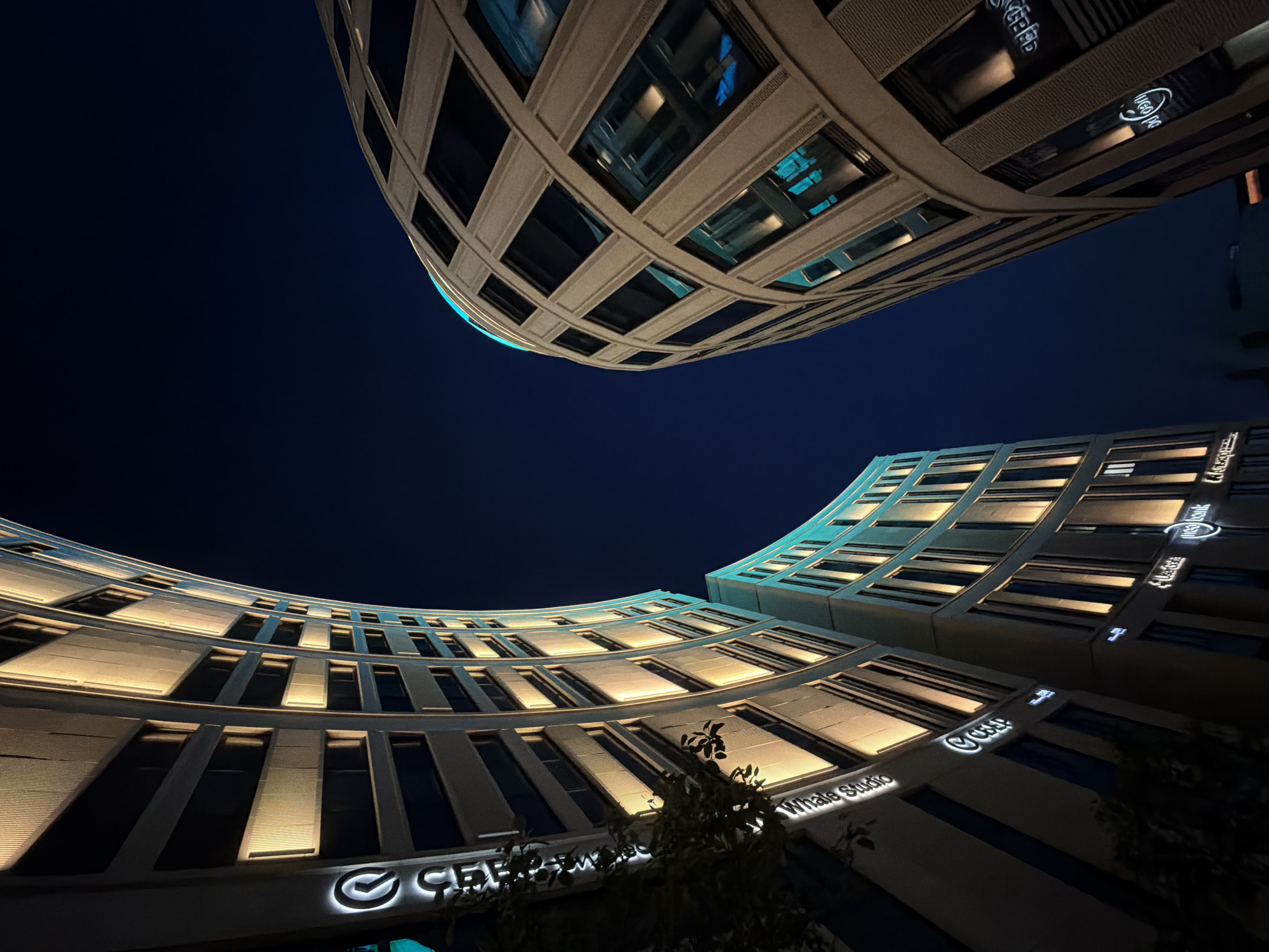This is a low-angle, eye-level, outdoor, wide shot of two modern, curved buildings at night, likely in Minsk, Belarus. The buildings are illuminated by warm, yellow lights from within, highlighting rows of windows. The sky is a deep, dark blue. The building on the left has a curved facade with visible signage that includes the words "Whale Studio" and the letter "Q" in a logo. The building on the right also has a curved facade with a grid-like pattern of windows. The lighting creates a sense of depth and architectural prominence. The scene appears to be a commercial or office complex. There are no people visible in the image.