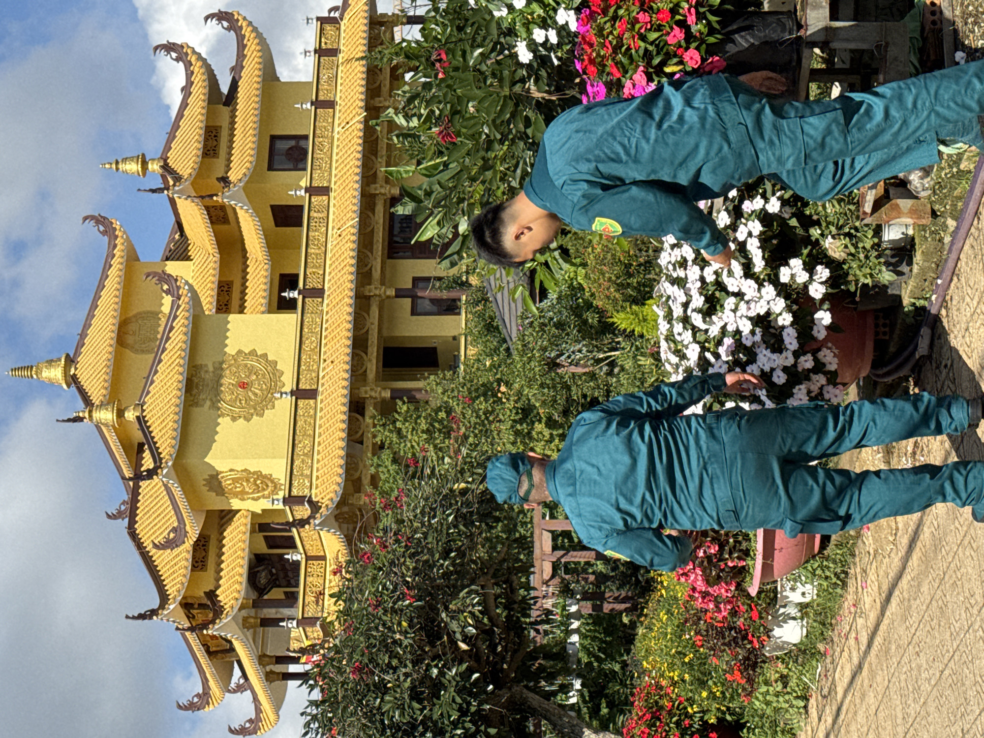 In front of a brightly colored, multi-tiered yellow temple, two individuals wearing matching dark teal uniforms and caps are observed. The temple exhibits traditional East Asian architectural features, including intricate roof designs and decorative golden embellishments. Both individuals appear to be facing away from the camera, towards a vibrant garden area in the foreground. The garden is filled with a variety of potted plants and flowers in shades of red, pink, yellow, and white, some of which are in full bloom. One individual is standing closer to the temple, while the other is further forward, reaching towards a cluster of white flowers. The ground is paved with light-colored tiles. The scene appears to be set outdoors, with a bright sky and clouds visible in the background. The location is identified as a temple in Da Lat, Vietnam.