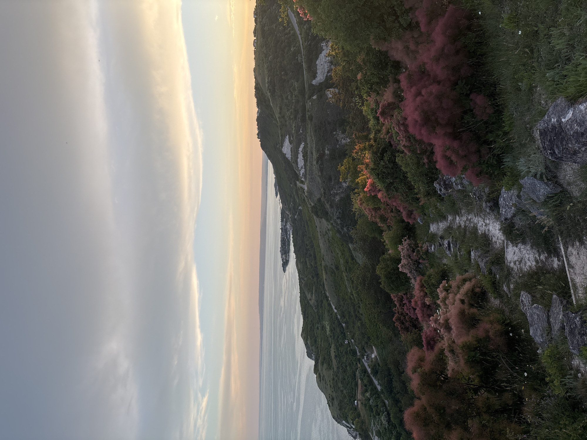 The image shows a scenic overlook of the Black Sea coast near Topola, Bulgaria, at dusk. In the foreground, a rocky path winds through lush green vegetation and flowering bushes with feathery, reddish-pink plumes. The path leads the eye towards a rolling hillside covered in dense green foliage, with a winding road visible. Further in the distance, the calm sea stretches out to the horizon, meeting a sky painted with soft hues of orange, yellow, and blue from the setting sun. Scattered on the hilltops in the mid-ground are clusters of buildings, likely residences. The overall scene evokes a sense of natural beauty and tranquility.