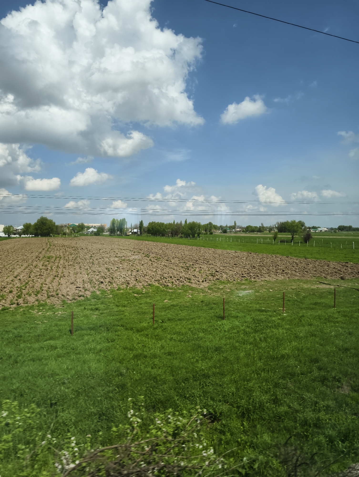 The image shows a landscape with a plowed field occupying the central and upper-left portions. The field is brown and textured, indicating recently tilled soil. To the right and in the foreground is a field of green grass. Wooden stakes, appearing reddish-brown, are sparsely placed in both the plowed field and the green grass area. In the background, a row of trees and some buildings are visible, suggesting a rural setting near a settlement. The sky is blue with scattered white clouds, and power lines run across the upper portion of the frame. The foreground contains some foliage, possibly bushes or low-lying plants, obscuring a small portion of the bottom of the frame. The location in the city of Unknown, Unknown. cannot be discerned based on the image.