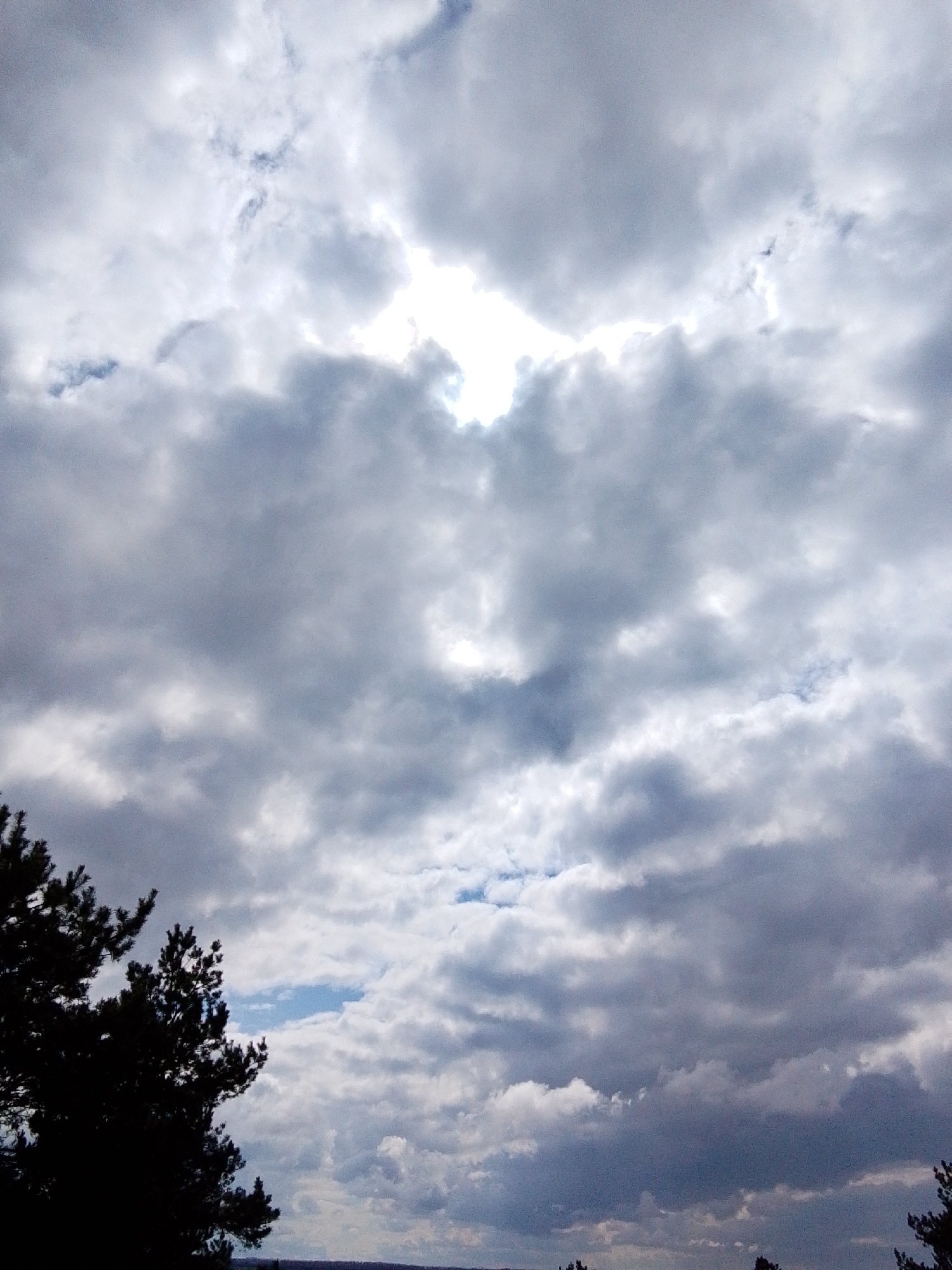 The image displays an expansive view of a cloud-filled sky over a natural landscape in Елец-Маланино, Russia. The primary subjects are the sky and clouds, which dominate the frame, and the silhouetted tops of trees.
The scene features a dramatic and varied cloudscape. Large, predominantly grey and white clouds are spread across the entire sky, with brighter, luminous patches where sunlight pierces through, particularly in the upper central area. These bright areas suggest the sun is obscured but still present. Patches of clear blue sky are also visible between the denser cloud formations, indicating a partially overcast rather than completely dark sky.
In the lower left corner and subtly in the lower right, the dark, silhouetted crowns of coniferous trees, likely pines, are visible. Their sharp, dark forms contrast against the lighter sky, suggesting they are part of a forest or wooded area at the edge of the viewpoint. A faint horizon line can be seen very low in the image, beneath the clouds and above the distant landscape, hinting at a broad vista.
There is no discernible human activity or specific event taking place; the image is a static landscape shot. The time of day is daytime, likely mid-day or afternoon, given the bright light breaking through the clouds. The weather is characterized by significant cloud cover with dynamic light conditions. There are no people, man-made objects other than the distant landscape, or visible text in the image.