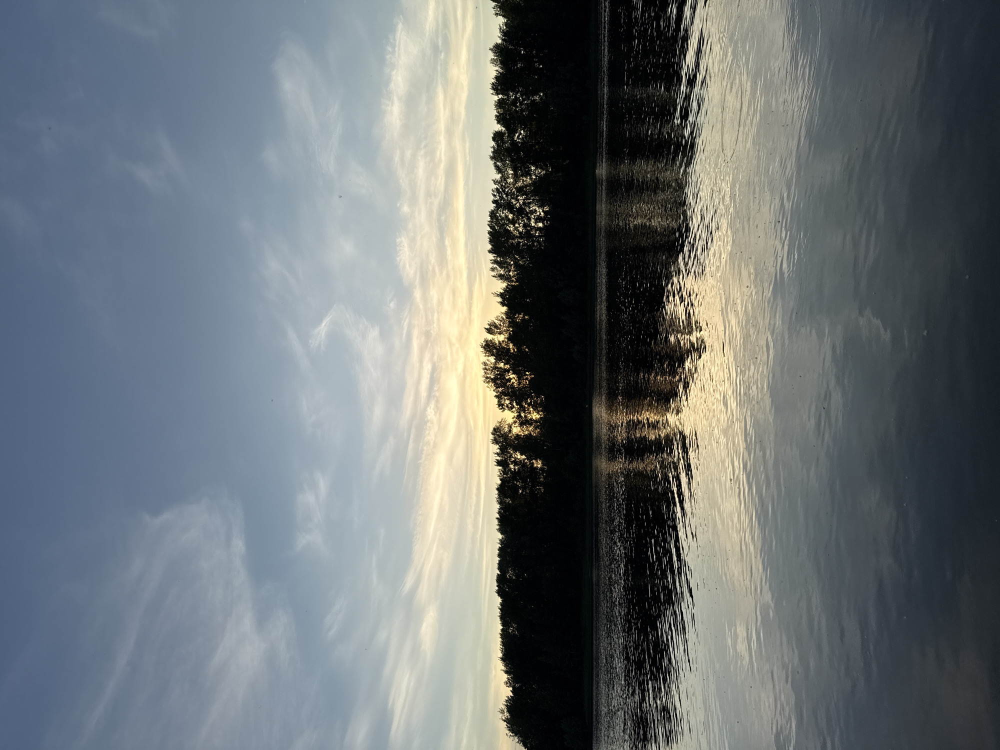 A wide shot captures a serene river at dusk. A dark, silhouetted treeline runs horizontally across the middle of the frame, dividing the scene into sky and water. The sky above is a gradient of pale blue and soft yellow, with wispy white clouds stretching across. The water in the foreground reflects the colors of the sky and the trees, creating a shimmering mirror effect. Small ripples disturb the surface of the water, with tiny specks that could be insects or raindrops dotting the reflection. The overall impression is one of tranquility and natural beauty.