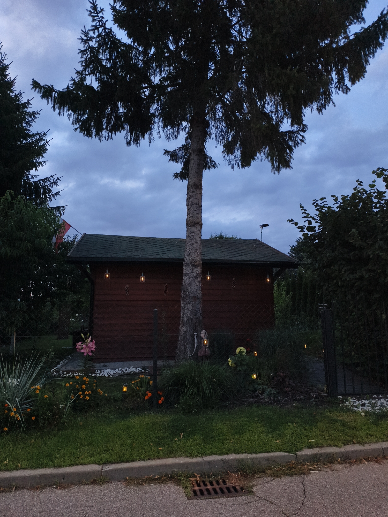 The image depicts a twilight scene in a garden setting, with a wooden shed as a central element. The shed has a green roof and is adorned with two hanging lanterns that emit a warm glow. In front of the shed, a variety of plants and flowers are visible, including pink lilies and small orange flowers. Several small lanterns are also scattered throughout the garden, adding to the ambiance. A large tree with dense foliage stands in the foreground, its branches extending across the frame. A flagpole with a red and white flag is partially visible behind the shed. The ground in front of the garden is paved with asphalt, with a concrete curb and a storm drain. The sky is cloudy and appears to be gathering for rain. While the specific location in Tczew, Poland, is not definitively identifiable from the visual elements, the presence of the Polish flag suggests a connection to the country. There are no people or animals present in the scene.
