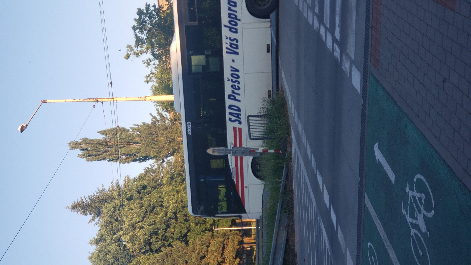 The image shows a white bus with blue lettering that reads "SAD Prešov - Váš doprav" driving past a crosswalk and a designated bicycle lane. The bus has the number "43023" on its front window. The scene appears to be in the city of Prešov, Slovakia, given the text on the bus. There are trees in the background, as well as a street lamp and power lines. The road has white lane markings and a green section for bicycles with a white arrow indicating direction and a bicycle symbol. The sky is clear and blue.