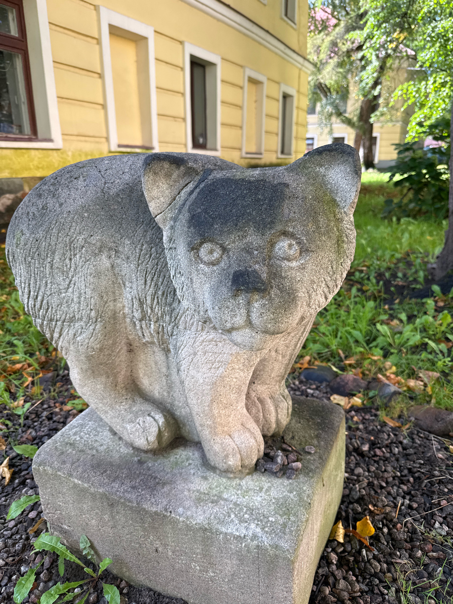 A stone sculpture of a cat sits on a stone pedestal in front of a yellow building. The sculpture is gray and shows signs of weathering. The cat is depicted in a seated position, facing the viewer with its front paws resting on the pedestal. Its eyes are large and circular, and its nose is a dark, rectangular shape. The building behind the sculpture is a light yellow color with white trim around the windows. Some of the windows are boarded up, while others have dark glass. The area around the pedestal is covered in dark gray gravel and some green grass. Fallen leaves are scattered on the ground. The environment suggests an outdoor setting, possibly a garden or courtyard. There are no people or animals visible in the image, and no specific action is taking place. The image does not provide any information that would allow it to be located in the city of Veliky Novgorod, Russia.