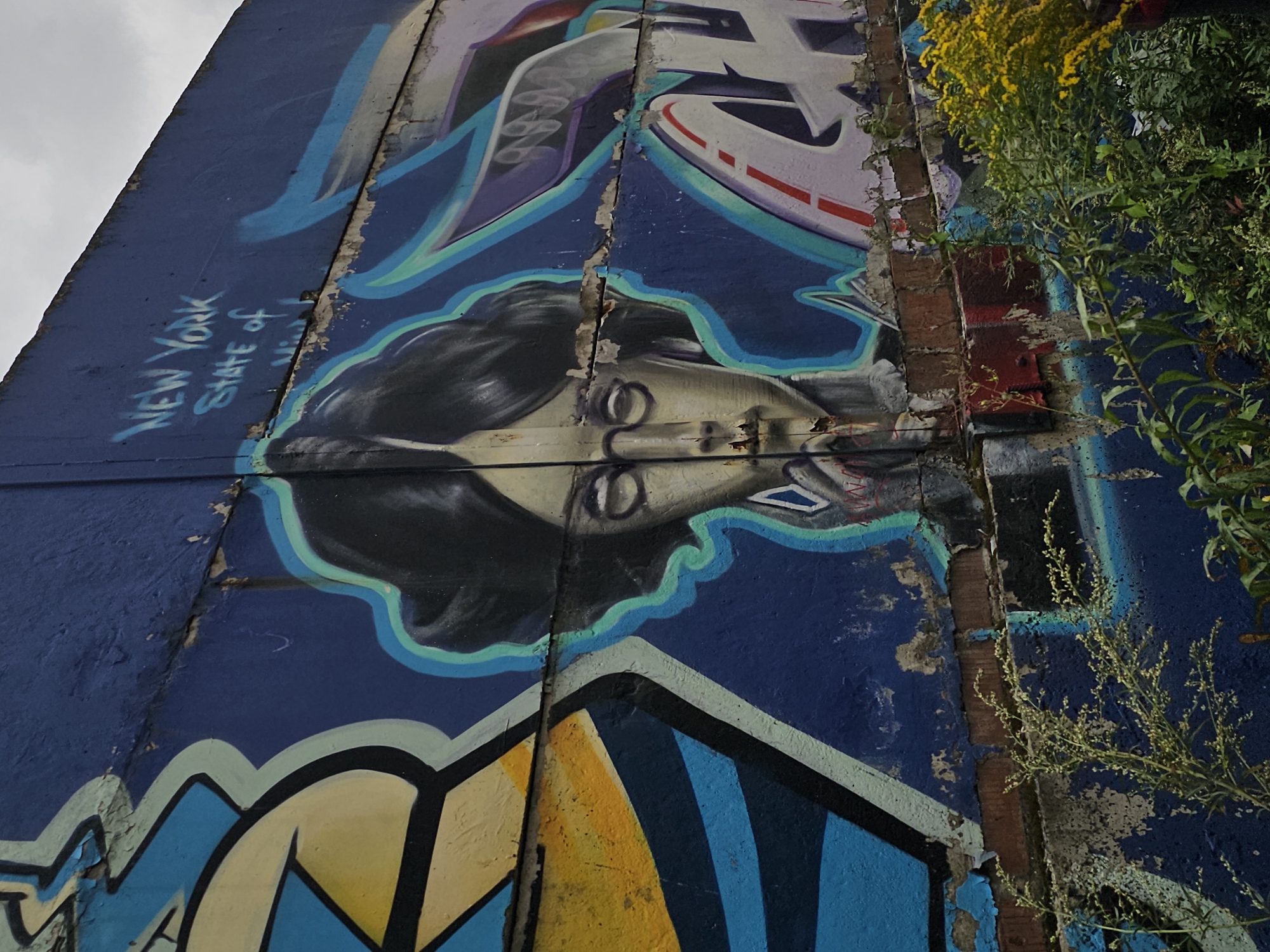 The image depicts a section of a graffiti-covered blue wall. Dominating the center is a stylized portrait of a person with dark hair, glasses, and fair skin, rendered in shades of gray and white. The subject's right hand is raised to their mouth. To the upper right of the portrait, the words "NEW YORK State of Mind" are spray-painted in blue. The wall itself is weathered, with patches of paint peeling and exposed brickwork visible below the graffiti. The bottom of the image shows overgrown green plants and a cluster of yellow wildflowers. The scene appears to be outdoors, under an overcast sky. There is no indication that this location is in Odintsovo, Russia.