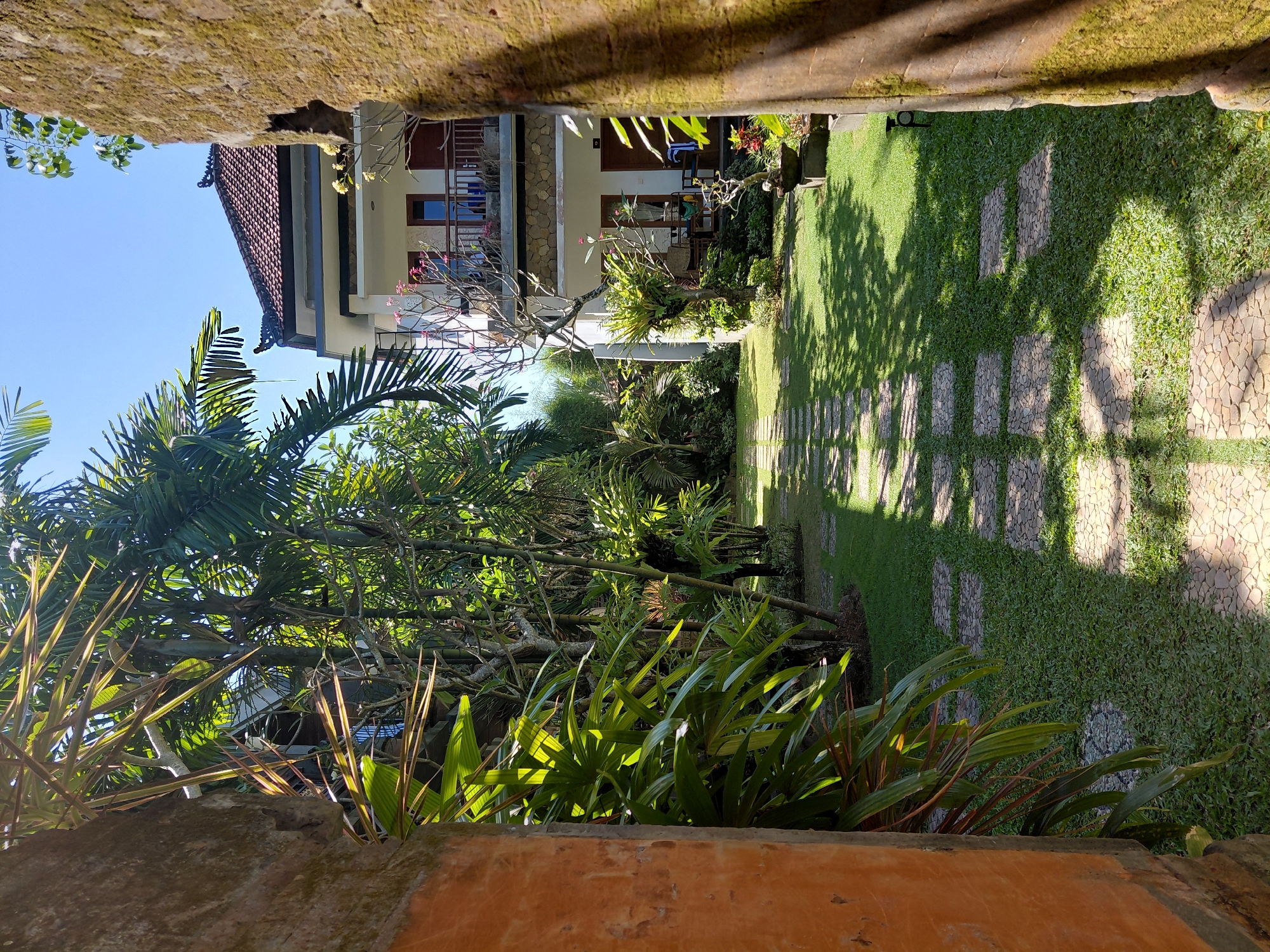 The image captures a well-maintained tropical courtyard in Denpasar, Indonesia. On the right, a multi-story building with a traditional tiled roof and balconies is visible. The building features white walls, wooden railings, and dark-framed windows. Lush green vegetation surrounds the building, including palm trees and various flowering plants, with some foliage casting shadows on a paved pathway of stone squares. The pathway leads into the courtyard, flanked by dense greenery on the left. The scene is illuminated by bright sunlight, indicating it is daytime. The overall impression is one of a serene, tropical retreat or lodging.
