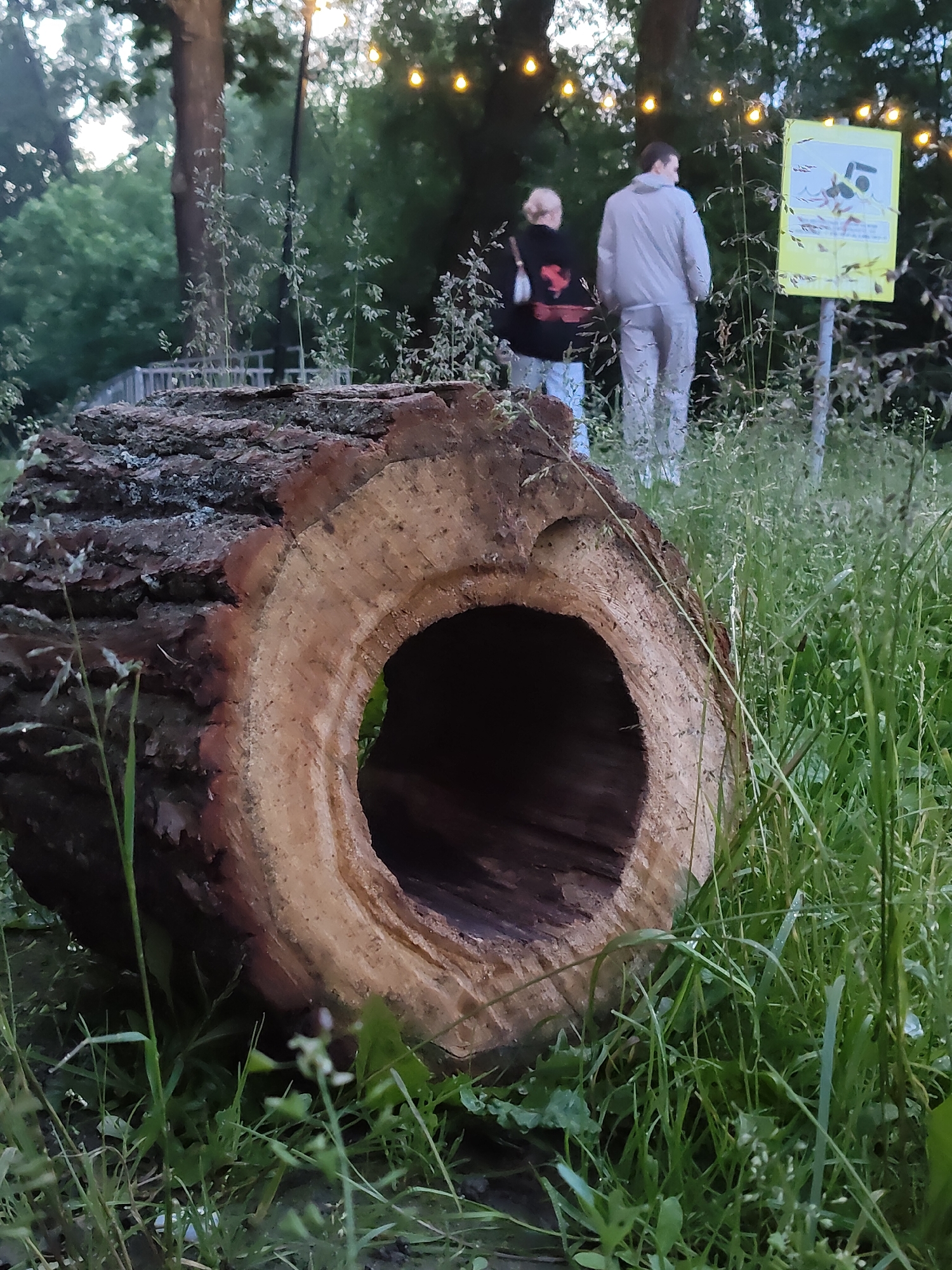The image depicts an outdoor scene at dusk, possibly in a park or wooded area within the city of Chekhov, Russia. In the foreground, a large, hollowed-out log lies on the ground amidst tall green grass. The log has rough, dark bark and a lighter, smooth interior revealing its wood grain. In the mid-ground, two individuals, a woman with blonde hair wearing a black jacket with a red design and light-colored pants, and a man in a light-colored hooded jacket and pants, stand facing away from the camera. They are positioned near a yellow signpost with a graphic that appears to be a warning or informational symbol. The background is filled with trees and soft, glowing string lights, suggesting a festive or illuminated outdoor space. The overall lighting is dim, indicative of twilight.