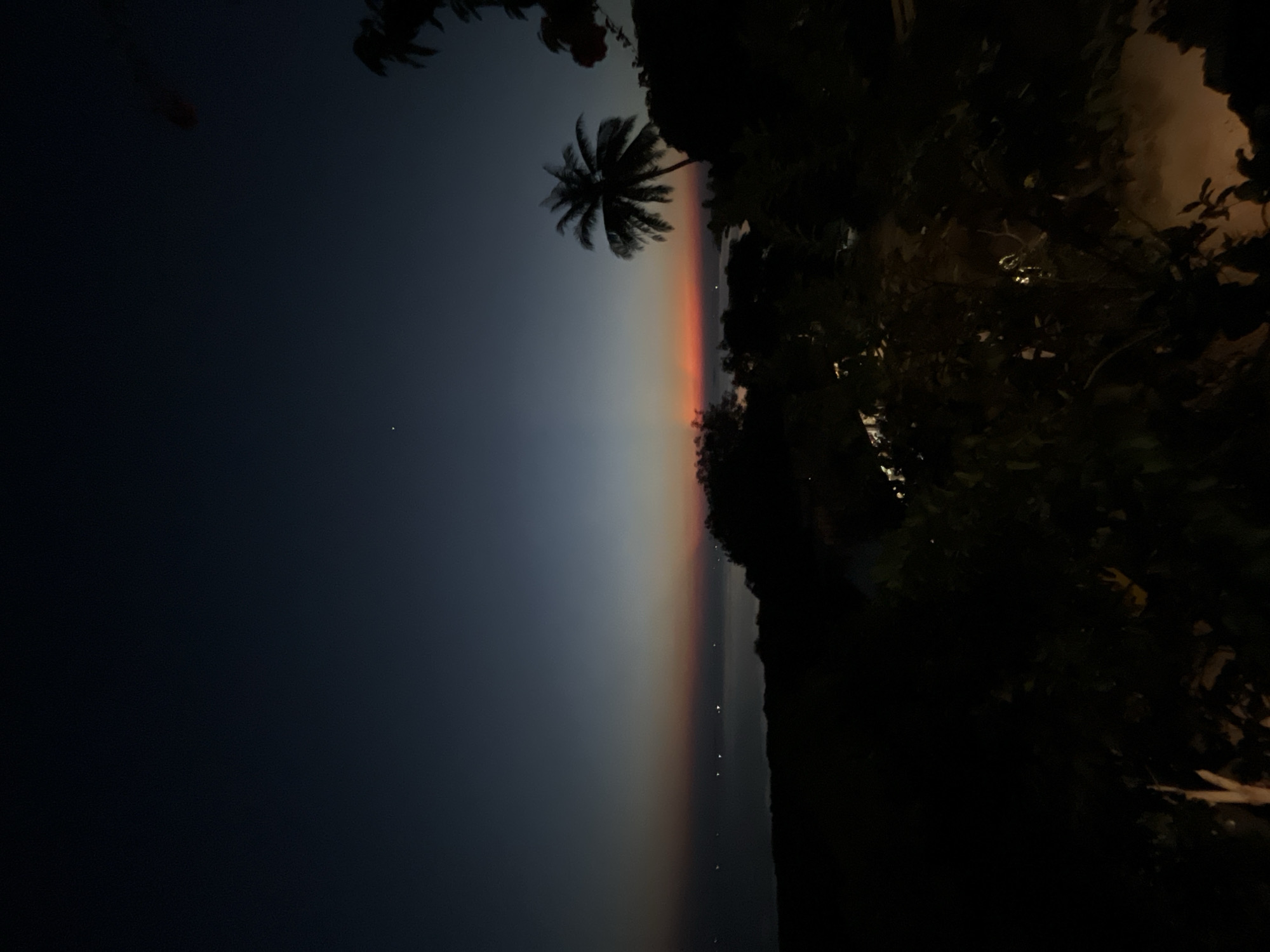 The image depicts a dark tropical scene with a twilight sky over the ocean. A silhouette of a palm tree stands prominently on the right side of the frame, against a sky transitioning from deep blue at the top to hues of orange and red near the horizon. The ocean is visible in the distance, with faint lights scattered across it, suggesting a coastal town or boats. The foreground is filled with the dark silhouettes of lush vegetation, including trees and bushes, obscuring much of the ground. The overall impression is of a serene, dimly lit evening by the sea in a tropical location like Karimunjawa, Indonesia.
