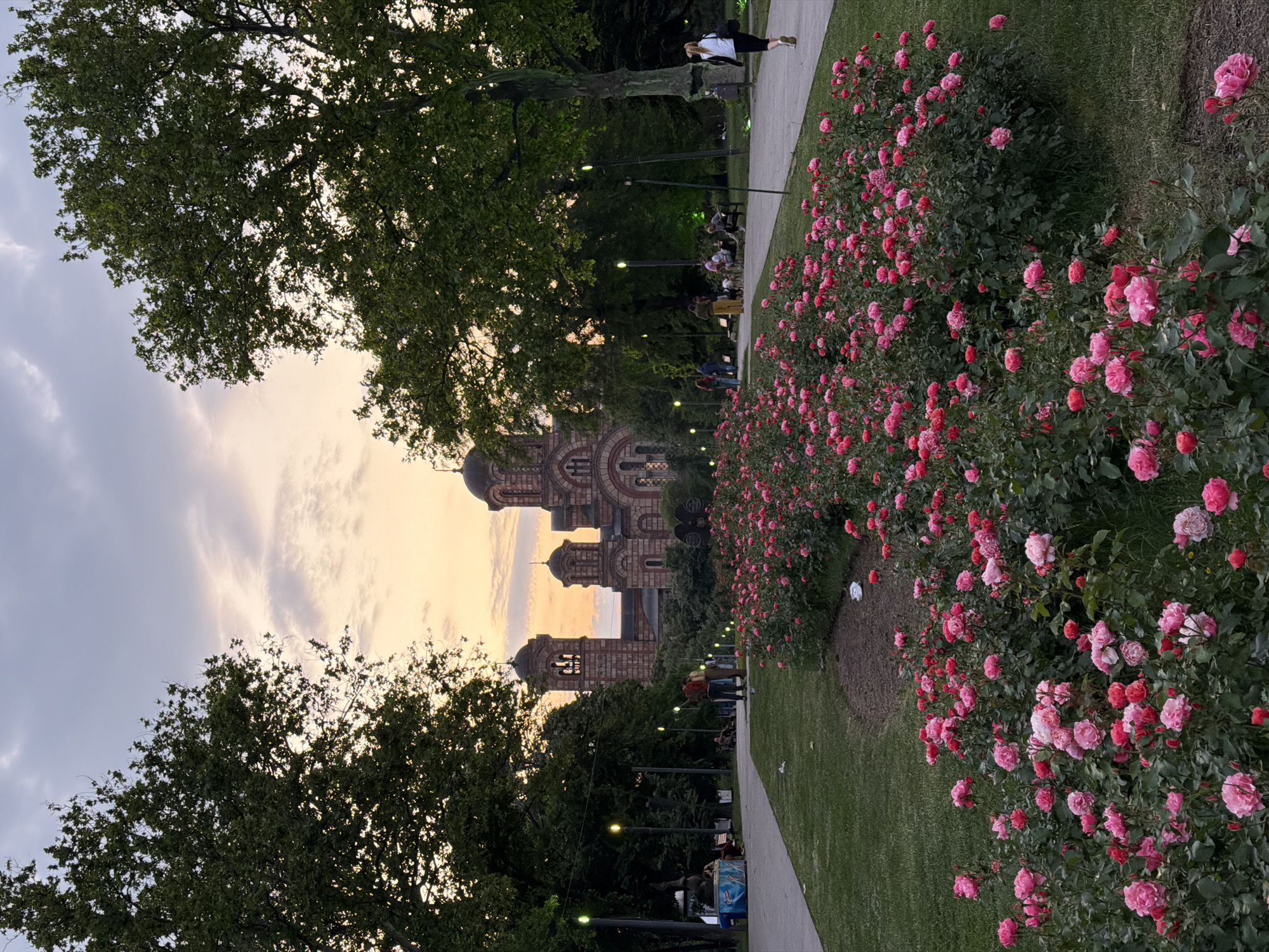 The image shows Saint Mark's Church, a Serbian Orthodox church located in the Tašmajdan park in Belgrade, Serbia. The church, built in the Serbian-Byzantine style, features multiple towers with domes. A pathway runs along the right side of the image, flanked by rose bushes with pink and red blooms. People can be seen walking and sitting on benches along the path. Trees frame the church and pathway, and the sky is visible above, with a mix of cloudy and golden light. The image is oriented vertically. The location is in the city of Palilula Urban Municipality, Serbia.