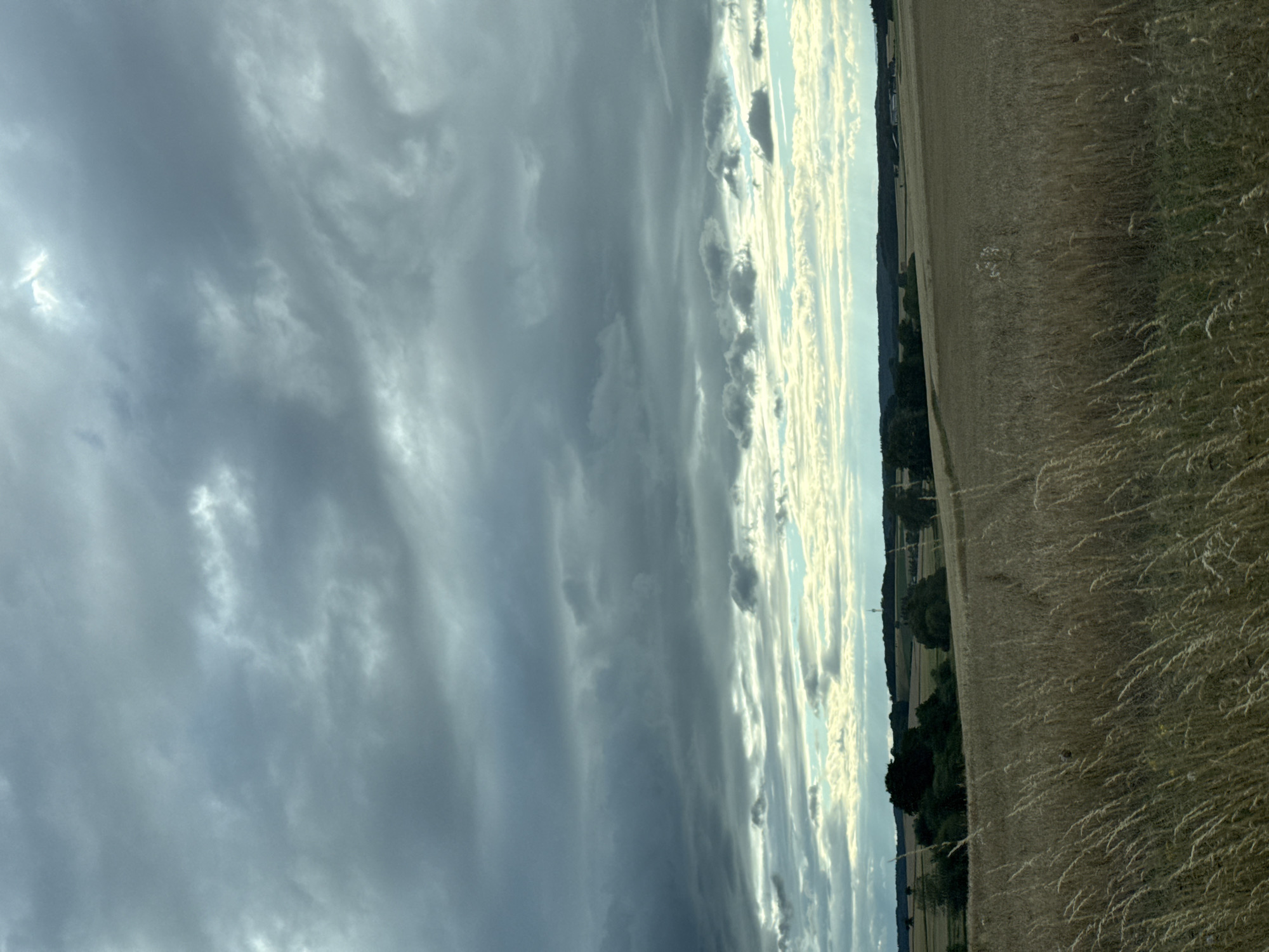 This is a landscape photograph taken in Oberwetz, Germany, depicting a dramatic sky over a field of dry grass. The image is oriented vertically.
The sky is filled with a complex pattern of clouds. On the left side, the clouds are dense and gray, suggesting an overcast or approaching storm. As the sky extends to the right, the clouds become more scattered and illuminated by sunlight, creating streaks of bright white and pale yellow against a backdrop of blue. These lighter clouds are elongated and appear to be moving in parallel formations, possibly indicative of wind currents.
The foreground and right side of the image are dominated by a field of tall, dry grass, golden brown in color, suggesting late summer or autumn. The grass is dense and appears somewhat wispy, with individual blades visible in sharp focus. The field stretches into the distance, meeting a dark line of trees that forms the horizon. Beyond the trees, hints of rolling hills or further fields can be seen.
The time of day appears to be late afternoon or early evening, given the angled sunlight and the warm tones in the grass and the illuminated clouds. The weather seems transitional, with the possibility of rain indicated by the darker clouds, contrasted with areas of bright sunshine. There are no people or man-made objects prominently featured, emphasizing the natural landscape. The overall mood is one of natural grandeur and the dynamic interplay of light and shadow. There is no visible text in the image.