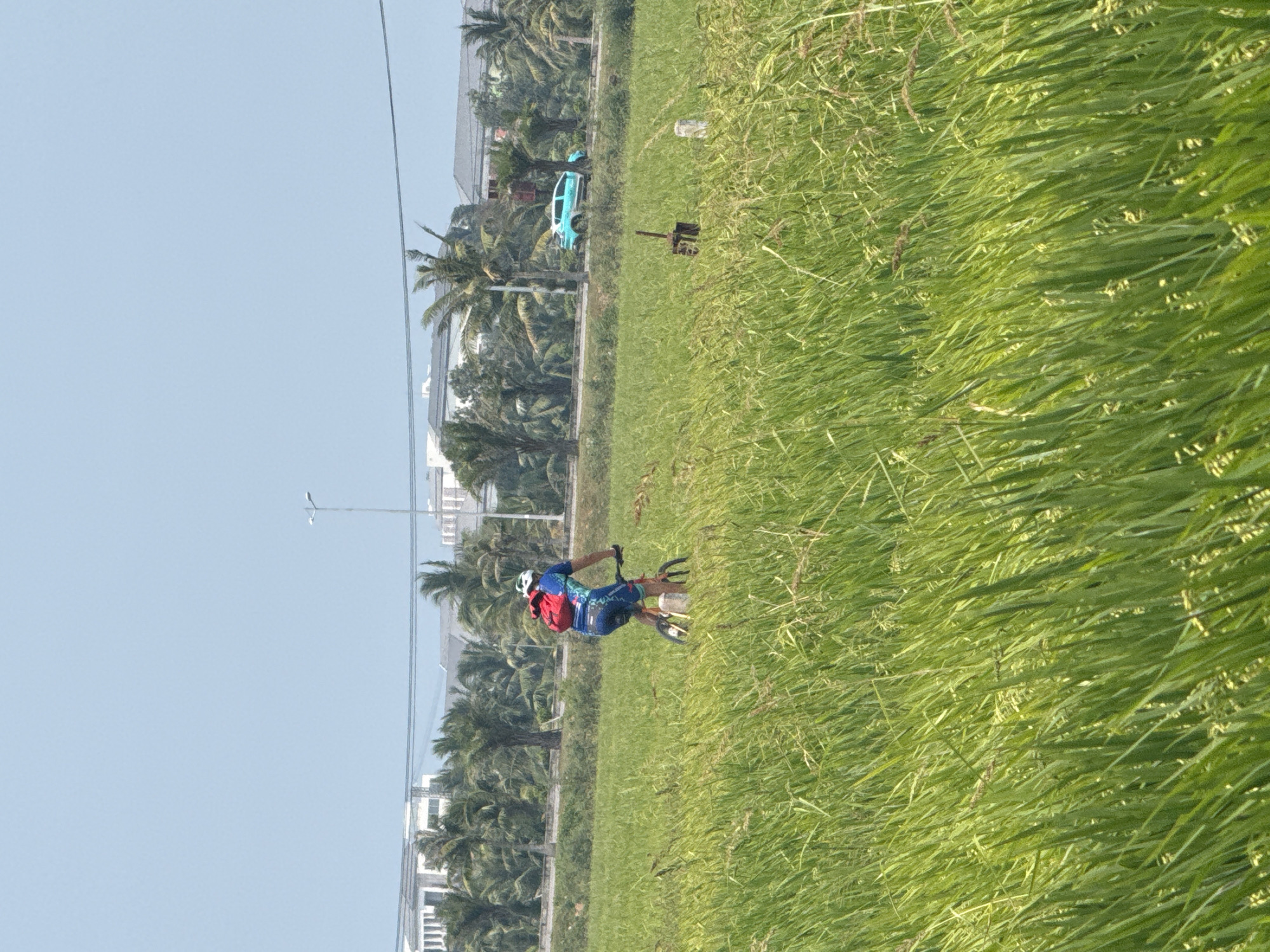 A landscape-oriented photograph shows a man on a bicycle riding through tall green grass, with the city of Đà Nẵng, Vietnam, in the background. The man is wearing a blue jersey, blue shorts, a white helmet, and a red backpack. He is positioned in the center of the frame, with his bicycle pointed towards the right side of the image. The foreground is dominated by dense green grass. In the background, there are buildings, palm trees, and a light blue car visible along the edge of a road. The sky is a light blue color, and there are power lines overhead.