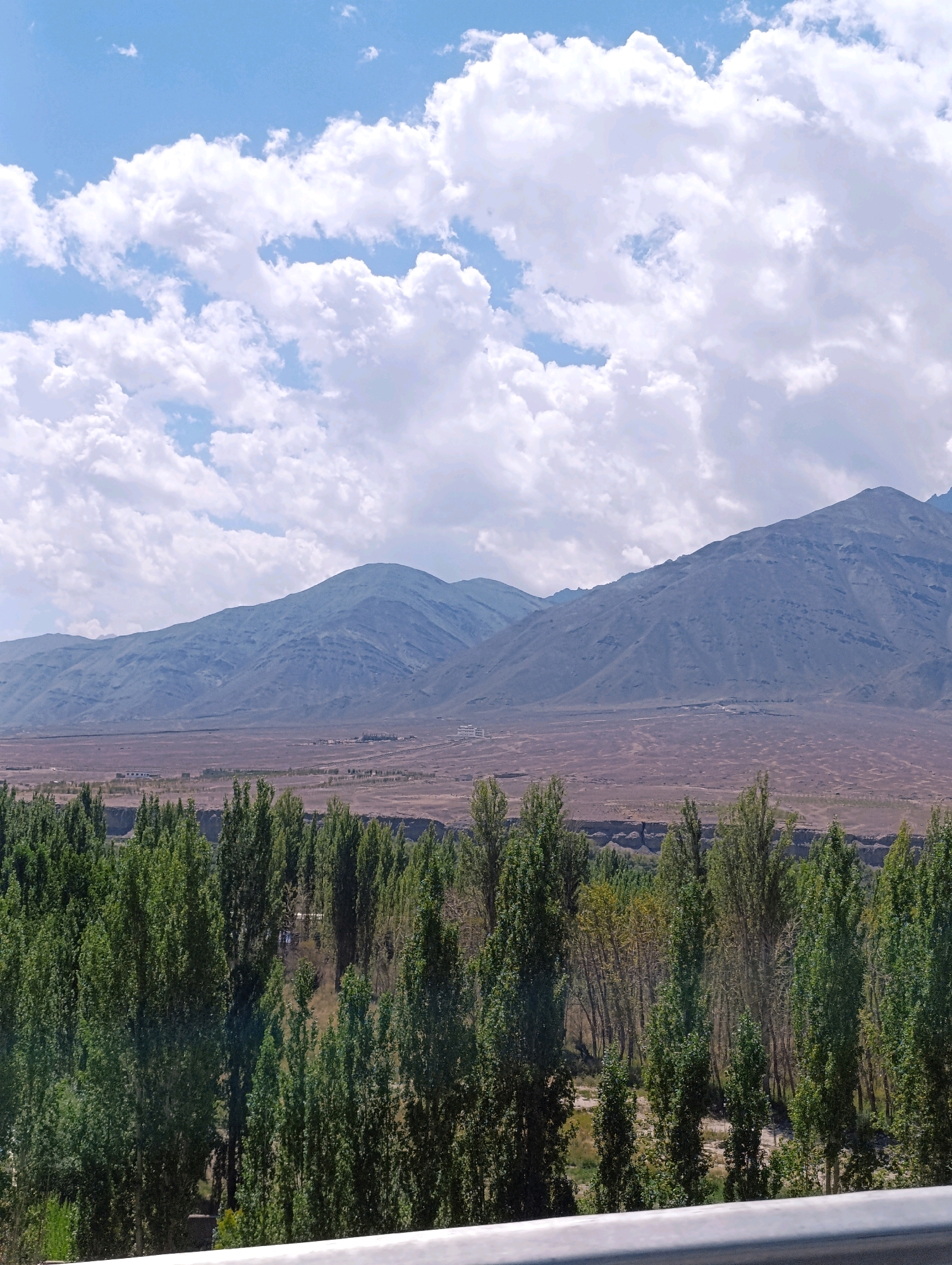 This is a photograph taken from a slightly elevated perspective, showing a wide landscape. In the foreground, a railing or barrier is visible, with a white reflective surface. Beyond the railing, a dense cluster of tall, green trees dominates the middle ground, forming a verdant line across the image. These trees are slender and have lush foliage.
The background reveals a vast, arid plain of brownish-red earth, dotted with sparse vegetation and some distant structures that appear to be buildings. Further in the distance, a range of large, undulating mountains stretches across the horizon. The mountains are a muted blue-grey color, with visible contours and texture suggesting rugged terrain.
The sky above is a bright blue, with scattered, fluffy white clouds that create a dynamic and airy atmosphere. The overall scene suggests a rural or semi-arid environment, possibly a valley or basin bordered by mountains, with a line of trees providing a natural barrier or demarcation.
The location is identified as Phey, India. The image captures a natural landscape with man-made elements in the distance. No people or animals are discernible in the frame.