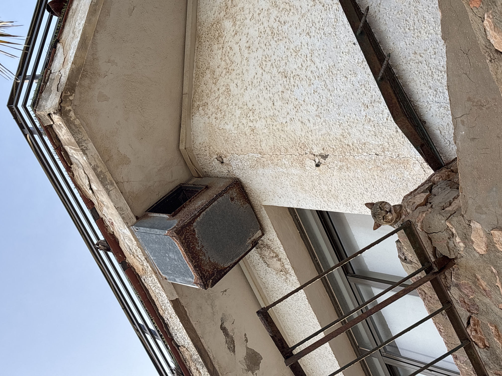A tabby cat with light brown and black stripes is perched on a stone ledge below a window with metal bars. The cat is looking directly at the camera with its head tilted slightly. The window is set into a weathered, textured white building with visible cracks and peeling paint. Above the window, a rusty metal air conditioning unit is mounted on the exterior wall. Further up, a balcony railing with black metal bars runs along the top of the building, with some greenery growing through. The sky above is a clear, light blue. The overall scene suggests an outdoor urban environment, possibly in a older part of the city of Orihuela, Spain, given the architectural style and weathered appearance.