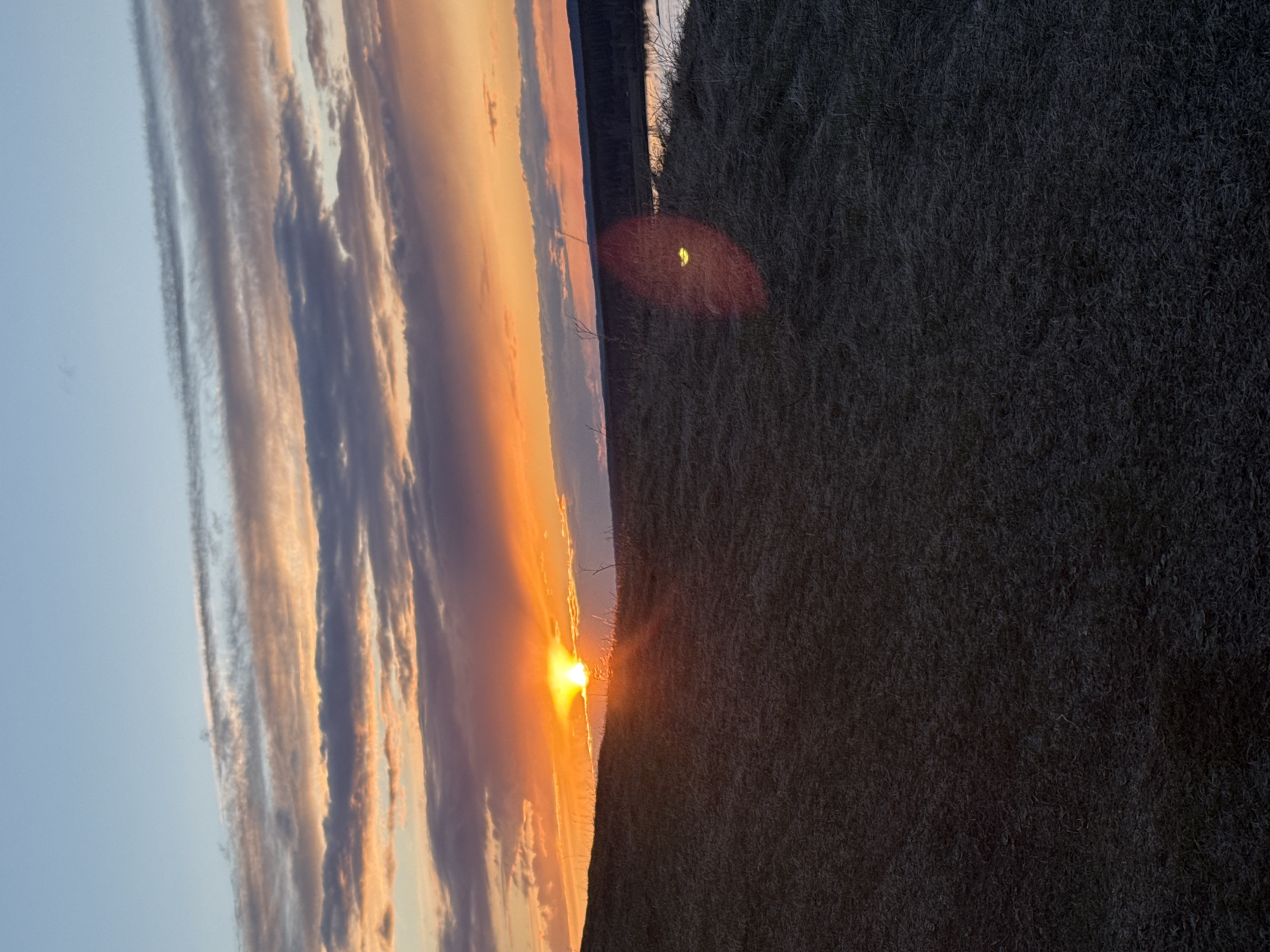 This media file captures a vivid sunset over a vast, open landscape, likely a field in Olkhovka, Russia. The image is oriented vertically but depicts a horizontal scene.
The upper portion of the frame is dominated by a dramatic sky, illuminated by the setting sun. Layers of clouds stretch across the horizon, painted in warm hues of orange, yellow, and pink, blending into softer greys and light blue towards the top. Some clouds are elongated and wispy, while others appear denser, catching the last rays of daylight.
The sun, a brilliant yellow-orange orb, is positioned low on the horizon, partially obscured by the distant land. Its intense light creates a striking glow, casting long rays and illuminating the undersides of the clouds. A prominent reddish-orange lens flare with a bright yellow core is visible in the middle-right area of the image, where the sun's light interacts with the camera lens.
The lower and right-hand side of the image features a sprawling field or pasture, covered in dry, dark-toned grass or stubble. The texture of the ground appears coarse and rugged. The horizon line is clearly defined, separating the vibrant sky from the subdued landscape. Faint, dark silhouettes of distant elements, possibly trees or hills, can be seen along the horizon line.
The scene conveys a sense of peacefulness and the grandeur of nature at dusk. There are no people or discernible man-made structures in the immediate foreground, emphasizing the natural beauty of the sunset over an expansive rural setting. No text is visible in the image.