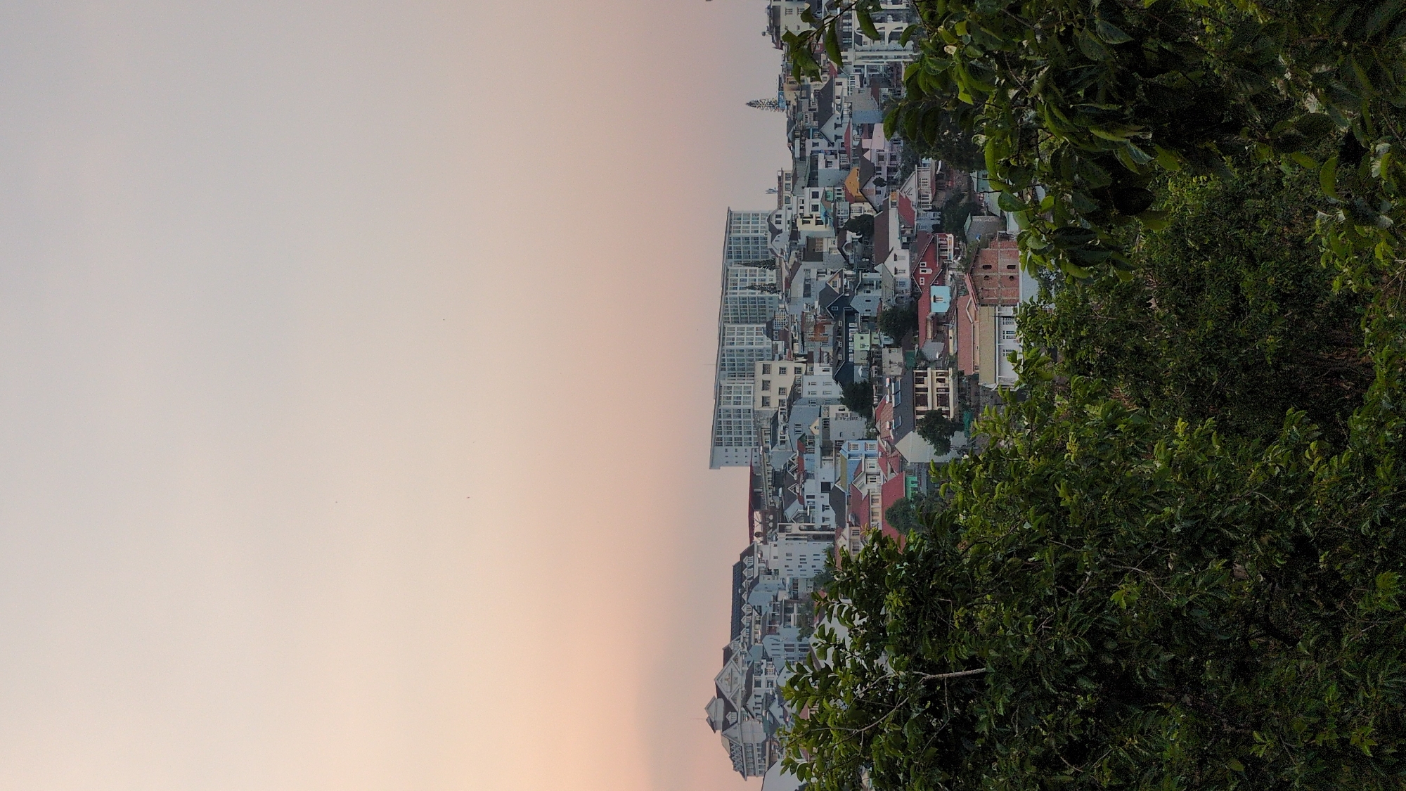 The image presents an elevated view of Da Lat, Vietnam, captured at either sunrise or sunset, evidenced by the soft pink and light gray hues of the sky on the left. The cityscape is dominated by a dense collection of buildings, varying in color, style, and height, clustered closely together. A modern high-rise stands out amidst the predominantly low-rise residential structures. Green foliage, possibly from trees and bushes, frames the right side of the image, partially obscuring the view of the city. The perspective suggests the photograph was taken from a hill or elevated terrain overlooking the urban area.