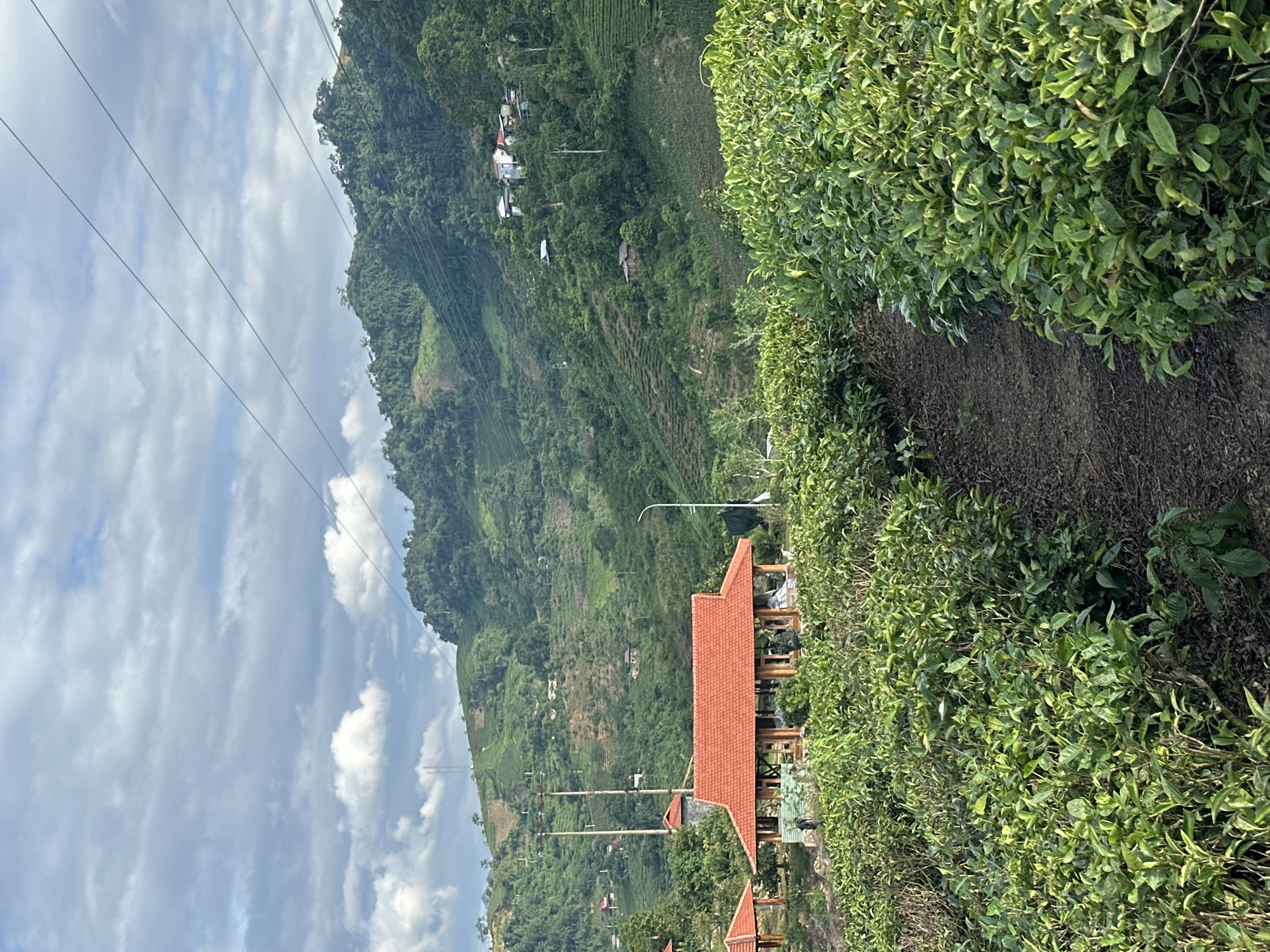 A narrow dirt path winds through lush green tea fields under a partly cloudy sky. In the middle ground, a building with a red tiled roof and wooden supports stands amidst the tea plants. Beyond the building, rolling green hills are terraced and covered with vegetation, dotted with a few scattered houses and buildings. Utility poles and wires traverse the landscape, and in the distance, more hills rise, disappearing into the hazy sky. The scene appears to be a rural landscape in the city of To Mua, Vietnam, likely a tea plantation.