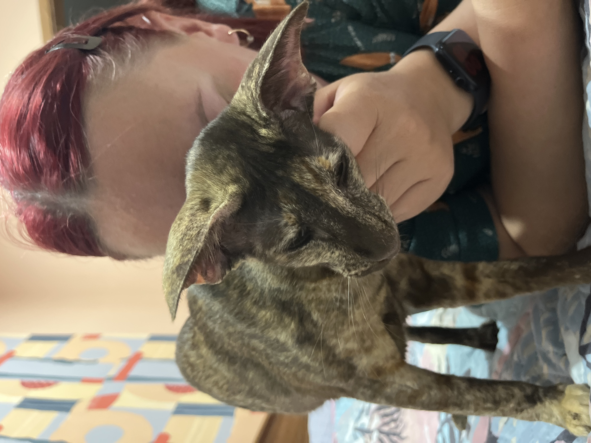 A woman with red hair is holding a brown tabby cat. The cat has large ears and a slender build. The woman is wearing a dark green patterned shirt and a smartwatch. The background includes a colorful geometric patterned surface. It is not possible to verify the location in the city of Chaikovsky, Russia based on the image.