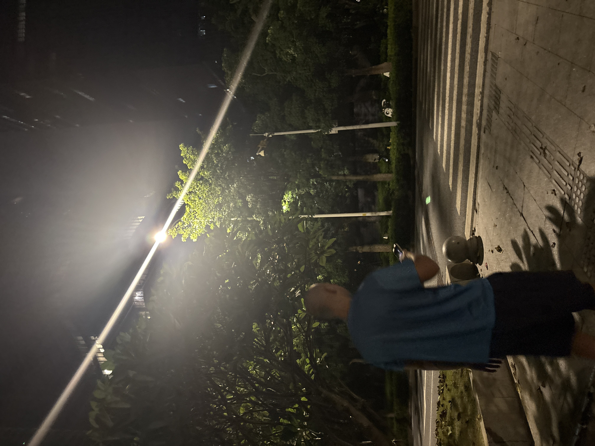 The image captures a nighttime scene on a street in Haizhu District, China. A person, wearing a blue t-shirt and dark shorts, stands on a sidewalk next to a crosswalk. They are holding a smartphone in their right hand and appear to be looking at it. The person's back is to the camera, and their face is not visible.
The setting is urban, with trees and streetlights visible in the background. A bright streetlight casts a strong beam of light across the scene, creating a hazy effect and illuminating the leaves of the trees. The crosswalk, marked with white stripes, stretches across the street. The sidewalk is made of concrete and has a textured pattern.
The time of day is clearly night, indicated by the artificial lighting and the dark sky. The weather appears to be clear, as there are no visible signs of rain or fog. The overall mood of the image is calm and perhaps a bit solitary, with the individual seemingly engrossed in their phone. There is no visible text in the image.