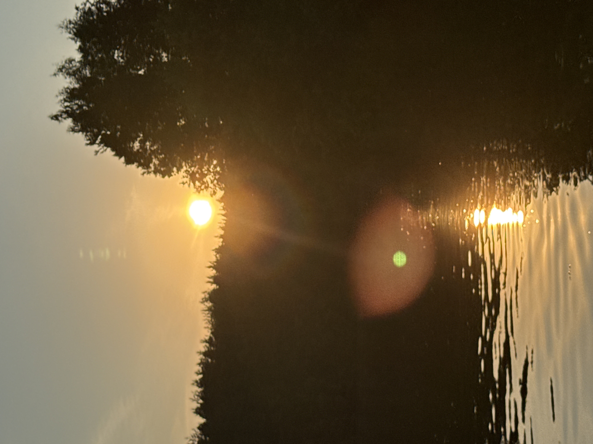 The image is a photograph taken at sunset, likely during the summer months in Ivanovo, Russia. The sun, a bright orb of orange and yellow, is positioned in the upper middle section of the frame, casting a warm glow across the scene. It is partially obscured by a silhouetted treeline that stretches across the middle ground of the image. Behind the treeline, a vast expanse of dark trees forms a dense forest.
In the foreground, a body of water reflects the sunset's light, creating a shimmering, golden path across its surface. The water appears calm, with subtle ripples disturbing the reflections. A distinct, circular lens flare, colored in shades of red and green, is visible in the lower-middle portion of the image, suggesting the photograph was taken with a camera that exhibited such artifacts. The sky above is a gradient of soft blues and yellows, with a few faint clouds. No people or animals are visible in the frame. The overall atmosphere is serene and tranquil, capturing the beauty of a natural landscape at dusk.