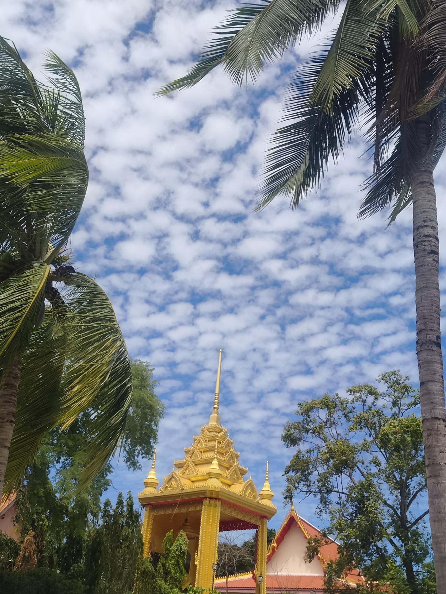 The image depicts a view looking upwards towards a bright blue sky filled with scattered white clouds. On either side, the fronds of palm trees frame the scene. In the center, below the sky, is a golden Buddhist temple structure with a tiered roof and ornate spires. To the right of the golden structure, a portion of another building with a red roof is visible. Lush green trees and foliage surround the temple buildings, suggesting a tropical environment. The overall impression is one of a sunny day in a religious or cultural setting within a tropical landscape, likely Ko Samui District, Thailand.