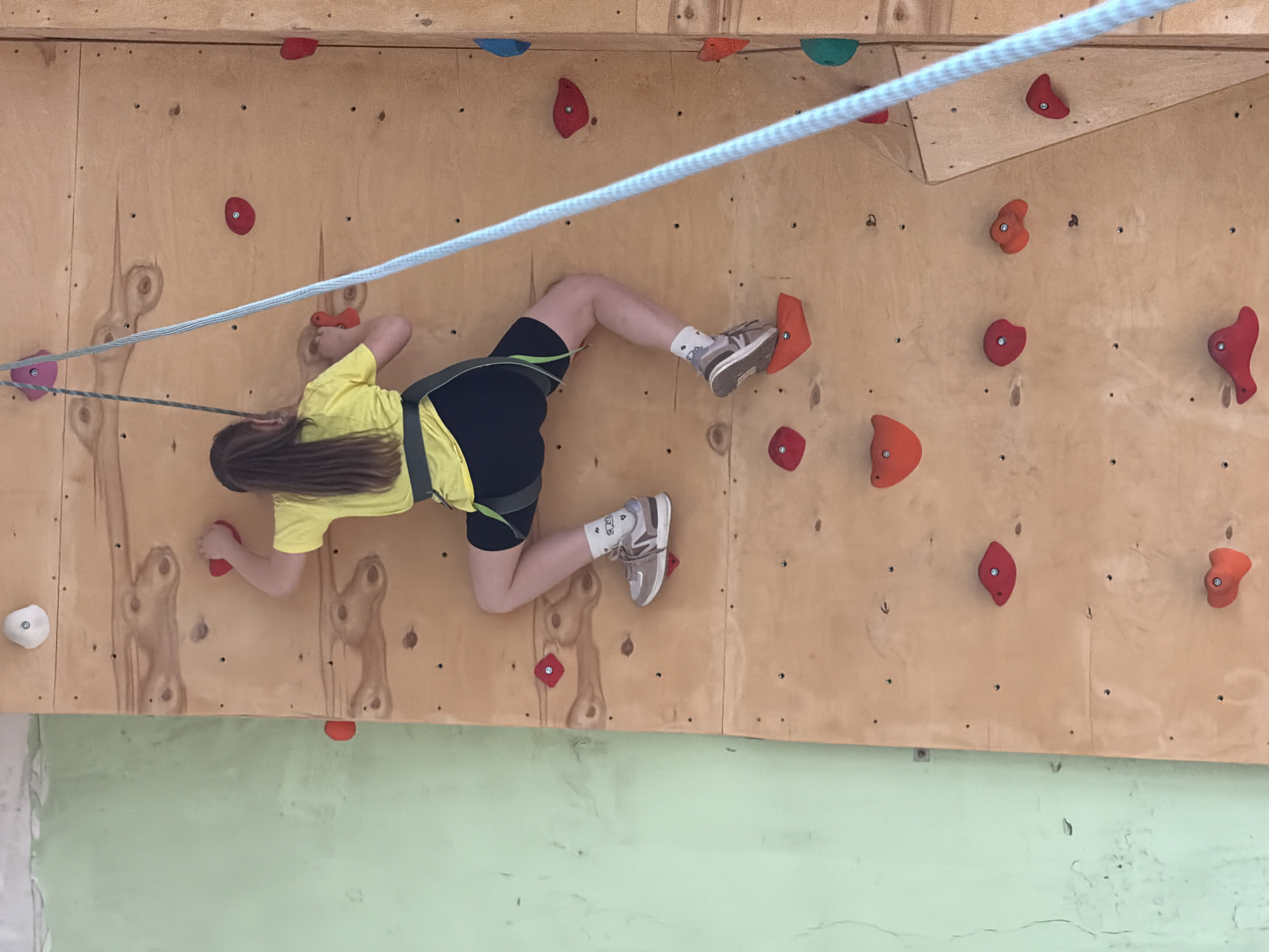 A young person is climbing an indoor rock wall. The individual is wearing a yellow shirt, black shorts, a climbing harness, grey shoes, and white socks. A blue rope runs horizontally across the top half of the image, connecting to anchor points on either side of the wall. The rock wall is constructed of plywood and features a variety of colorful climbing holds. The wall is located above a green and white wall. This image was taken in Izhevsk, Russia.