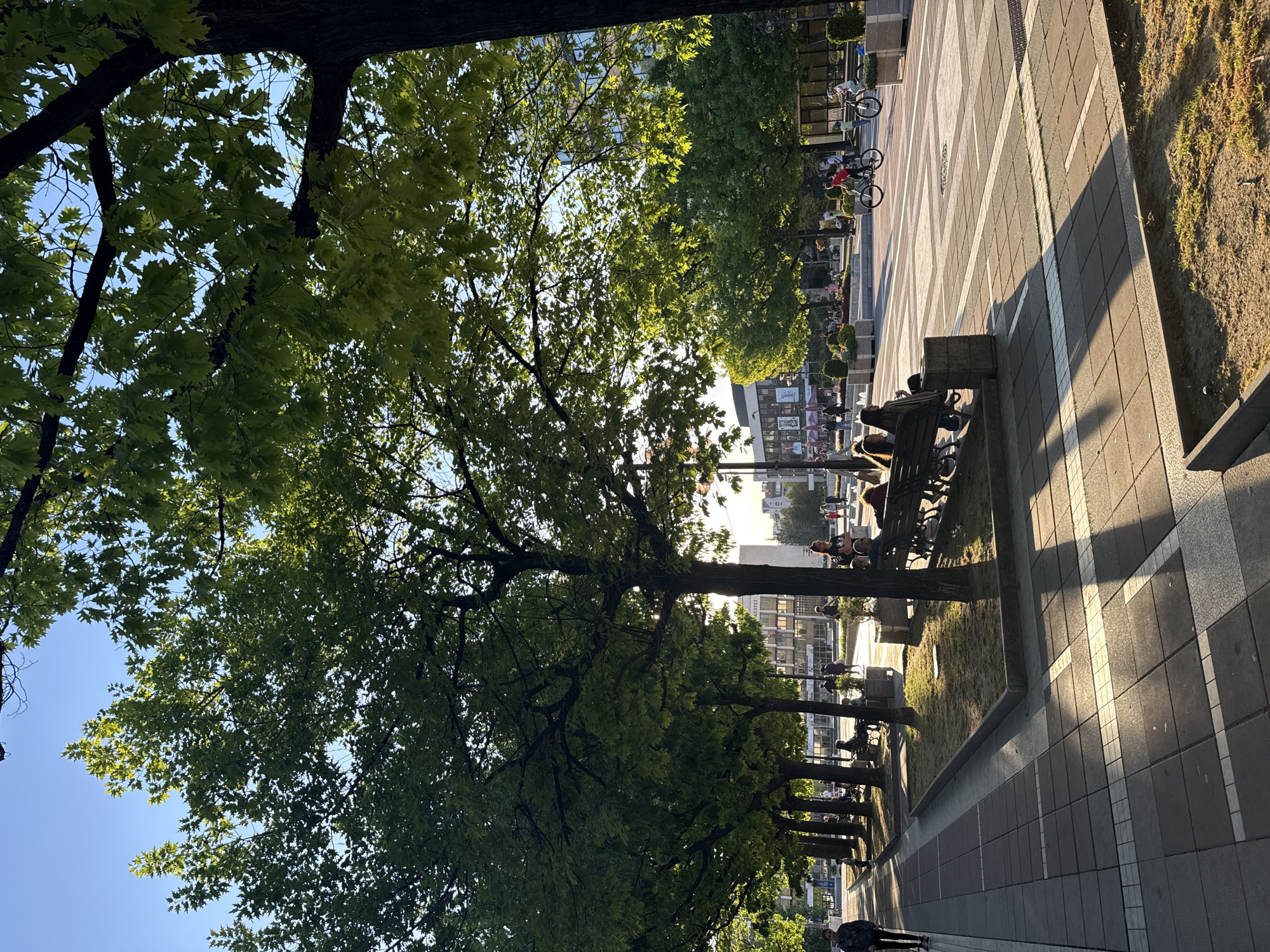 The image shows a sidewalk in Blagoevgrad, Bulgaria. On the right side of the image, there is a paved walkway with patterns of gray and white tiles. A row of trees lines the left side of the walkway, with benches placed underneath them. People can be seen sitting and relaxing on the benches. In the background, buildings can be seen. The sky is visible through the leaves of the trees, indicating it is daytime. Shadows are cast across the walkway. Two bicycles are parked along the sidewalk towards the end of the trees. A few pedestrians are walking in the foreground.
