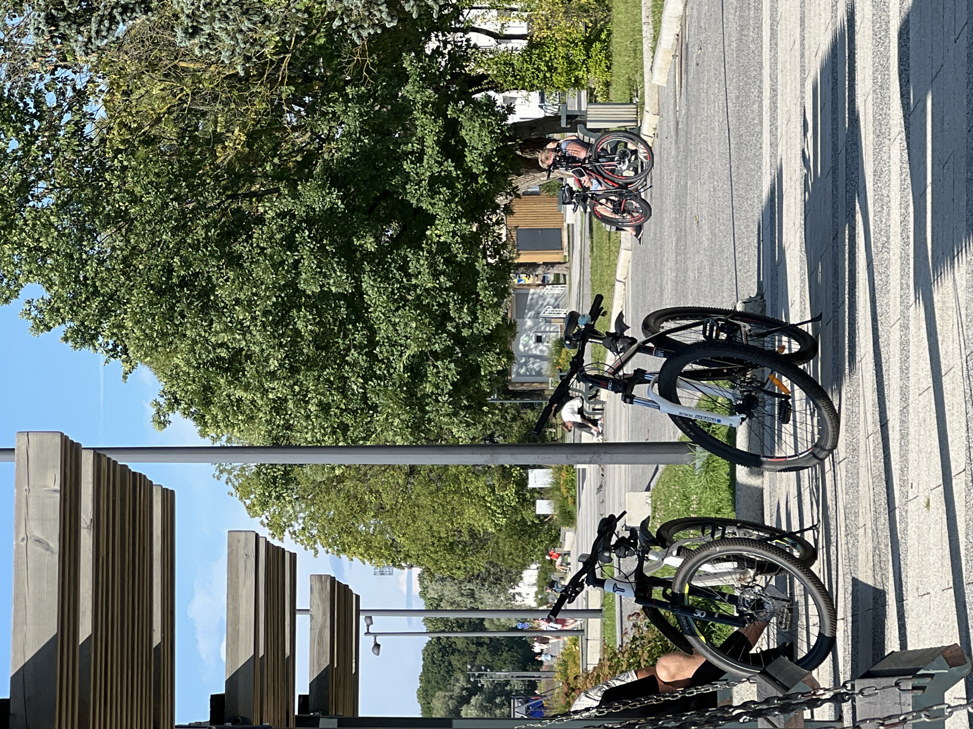 The image captures a sunny day scene in Veliky Novgorod, Russia, likely within a park or recreational area. In the foreground, two bicycles are parked side-by-side on a paved pathway. One bicycle is primarily white with black accents, while the other is predominantly black with red detailing. A person's legs are visible on the left, seated on what appears to be a swing or bench, with one leg extended towards the bicycle.
Further back, a paved area leads towards a line of trees. To the right, a woman is seated on a bench under a large, leafy tree, with her bicycle parked beside her. This bicycle is also red and black. More people are visible in the background, walking along a path further away, and some are seated on benches. The environment features a wooden pergola structure in the foreground, providing shade, and a mix of deciduous and coniferous trees. The sky is clear and blue. The scene suggests a leisurely day outdoors, possibly at a location like Yaroslav's Courtyard or a similar urban green space in Veliky Novgorod.