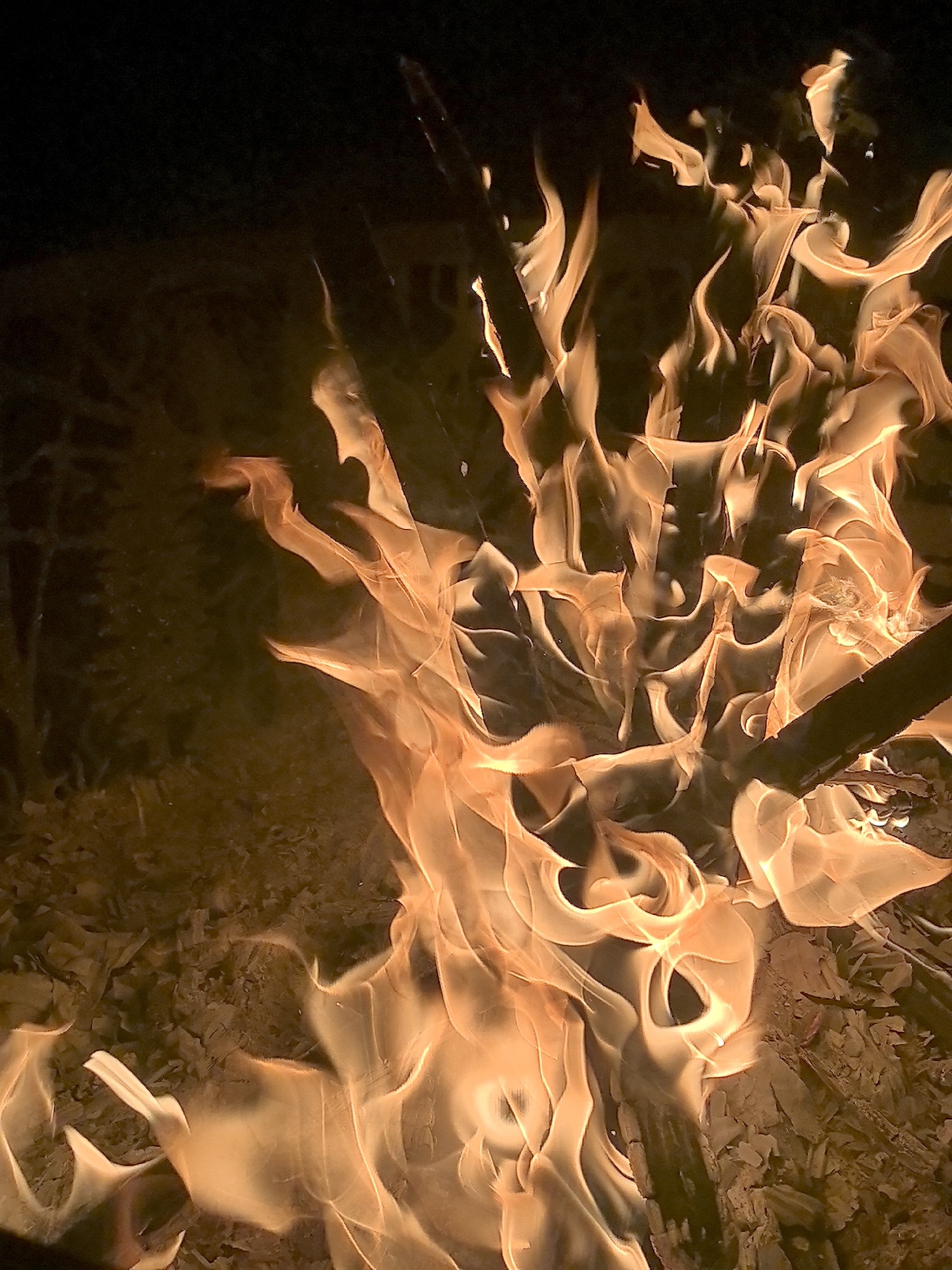 The image shows a close-up view of a campfire at night. The flames are a bright orange and yellow, with wisps of white and pale blue at the hottest points. The fire is burning on a bed of ash and embers, with dark, indistinct shapes in the background that could be logs or surrounding vegetation. There are no people or animals visible in the image. The overall impression is one of intense heat and light against a dark background. The specific location in Taldykorgan, Kazakhstan, cannot be determined from the image alone.