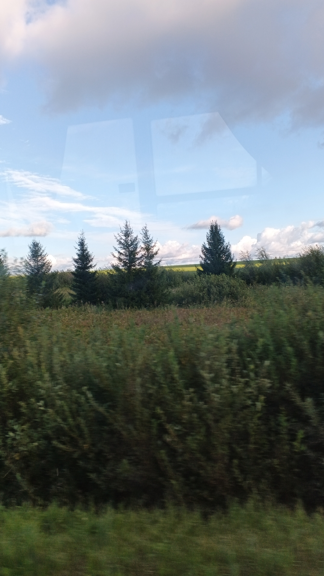 This is a horizontal, eye-level, outdoor, full-shot image taken from a moving vehicle, likely a train or car, judging by the motion blur and reflections on a window. The scene depicts a rural landscape dominated by lush green vegetation and a partly cloudy sky. In the foreground, a dense, blurred expanse of green foliage creates a sense of depth and motion. Behind this, a line of evergreen trees stands tall, their dark green silhouettes stark against the lighter background. Further in the distance, a bright green, open field stretches out, meeting a light blue sky dotted with fluffy white and grey clouds. The reflections on the window, particularly the rectangular shapes, suggest the image was taken from inside a vehicle. The overall impression is one of natural beauty and the passage of time, with the movement of the vehicle adding a dynamic element to the otherwise still landscape. The image does not contain any people, structures, or specific landmarks to pinpoint a precise location within Buranovo, Russia, beyond it being a rural setting.