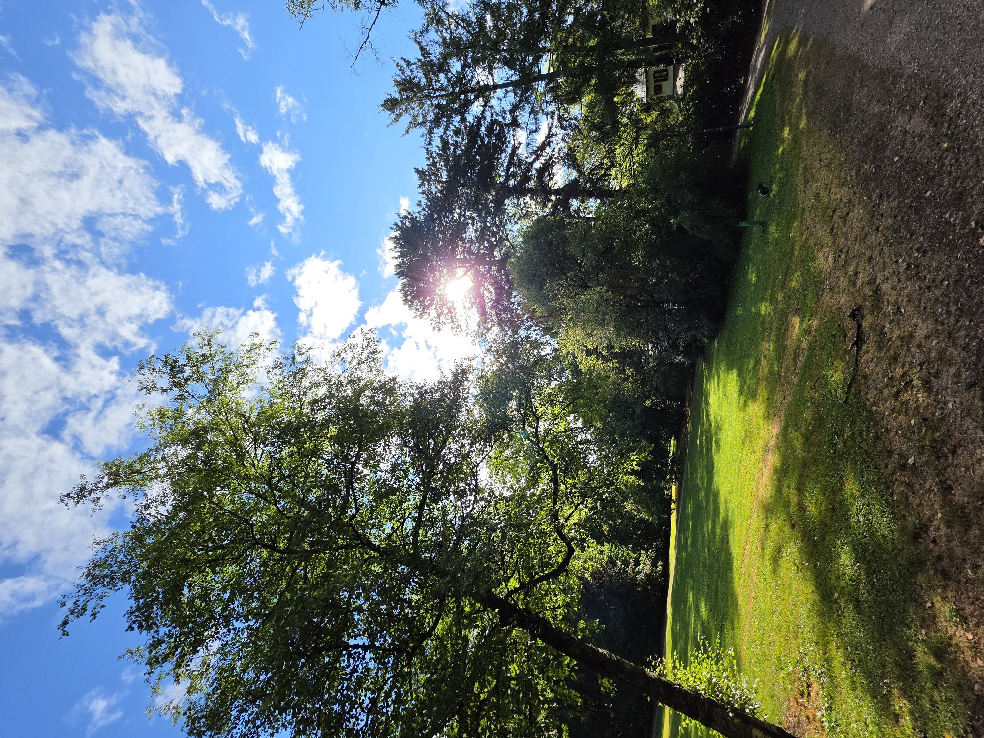 The image depicts a sun-drenched park scene, likely taken during the daytime. A lush green lawn dominates the foreground, partially shaded by the canopy of a large deciduous tree on the left. The sun's rays are intensely visible, filtering through the leaves of tall coniferous trees in the background, creating a lens flare effect. A gravel path is visible on the right side of the image, curving away into the distance. Further back, a two-story building with light-colored walls and dark windows is partially obscured by dense foliage. The sky is a vibrant blue, dotted with scattered white cumulus clouds. A small, dark-colored quadruped, possibly a dog, is visible on the lawn in the middle ground. The environment appears to be a well-maintained public park or garden. This scene is consistent with many park areas within Munich, Germany, such as the English Garden or the Nymphenburg Palace gardens, which feature expansive lawns, mature trees, and walking paths.