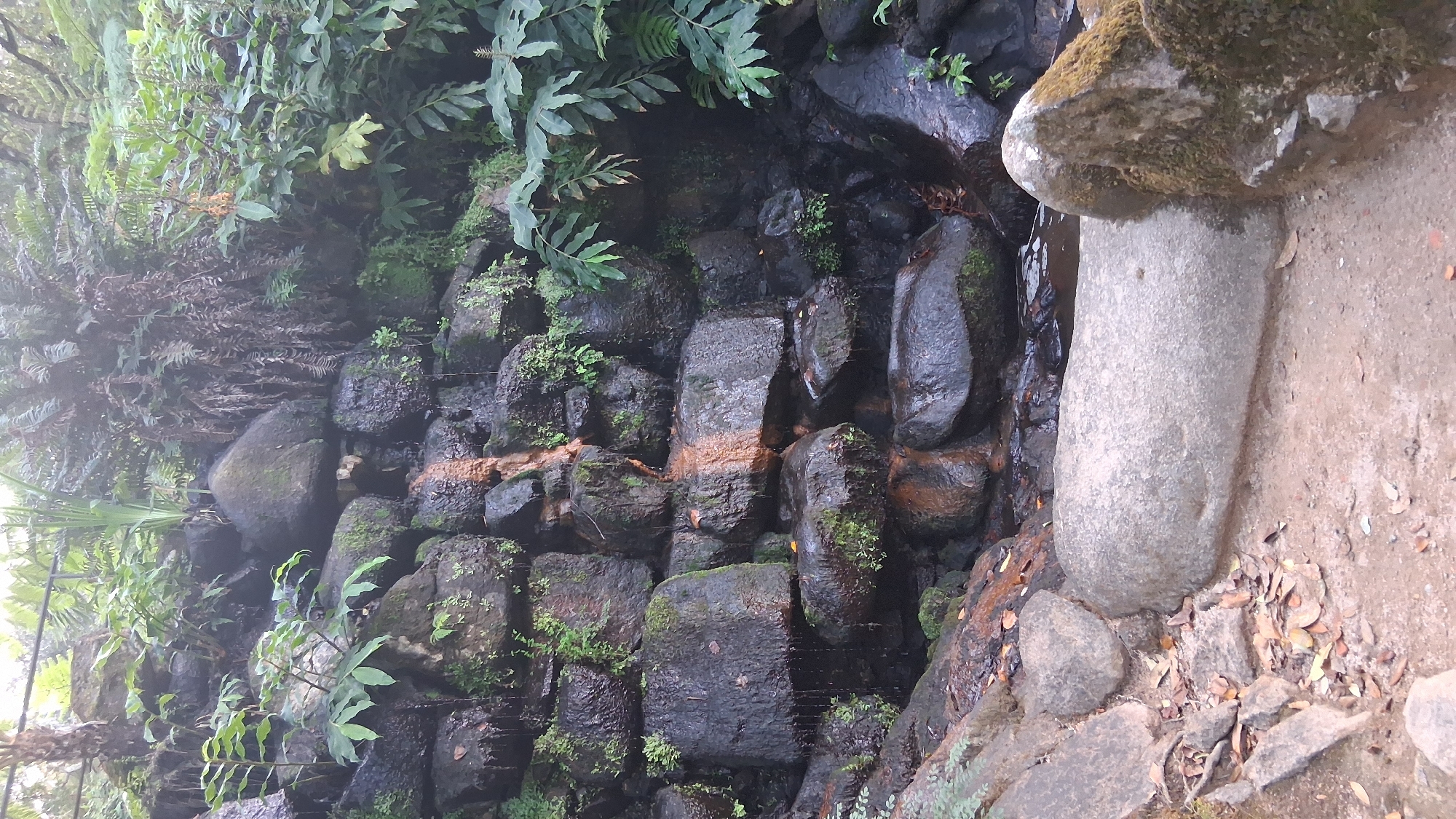 A stone waterfall feature is depicted in an outdoor, forested environment, possibly within the grounds of a park or estate in Sintra, Portugal. The waterfall is constructed from dark, wet rocks of various sizes, some of which are covered in moss. Water trickles down the rocks, creating a damp and glistening appearance. Lush green vegetation, including ferns and other plants, grows around and on the rocks, suggesting a humid climate. The foreground shows a pathway made of dirt and small stones, with fallen leaves scattered about. A large, smooth, grey boulder is prominently positioned in the lower center of the image, with another moss-covered rock to its right. The overall scene conveys a natural, somewhat secluded atmosphere, characteristic of Sintra's historical gardens and landscapes.
