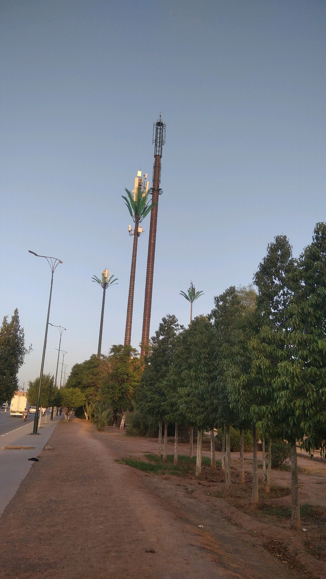 This image depicts a street scene in Marrakesh, Morocco, likely on an outer boulevard or a newly developed area given the presence of telecommunication towers disguised as palm trees. The foreground shows a dirt path alongside a paved road. On the road, a white truck is visible, along with a few pedestrians and a motorcyclist. Several streetlights line the left side of the road. The dominant feature of the scene is a row of tall, artificial palm trees, which are actually disguised cell towers, some with multiple levels of antennae. Behind these, a denser line of mature, real trees forms a green backdrop against the clear, pale blue sky. The overall impression is one of a semi-urban or suburban environment where modern infrastructure is being integrated into a more natural or stylized landscape.