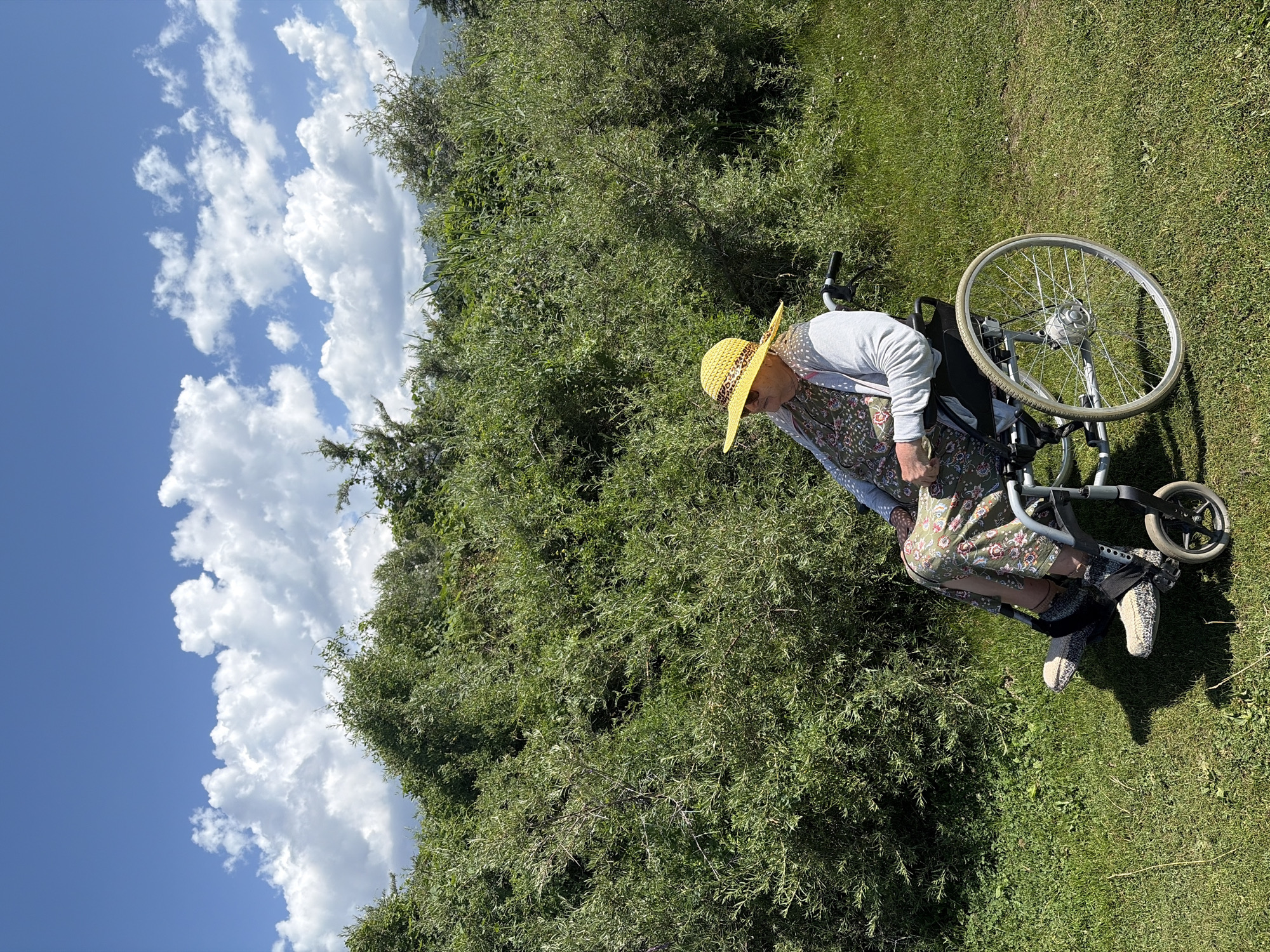 A person is seated in a wheelchair outdoors on a grassy area, facing left. They are wearing a floral print dress, a grey cardigan, and a yellow straw hat with a patterned ribbon. The wheelchair has large spoked wheels. Behind the person, there is a dense area of green bushes and trees, with mountains visible in the distance under a blue sky with scattered white clouds. The lighting suggests it is daytime. The location is described as Unknown, Unknown.