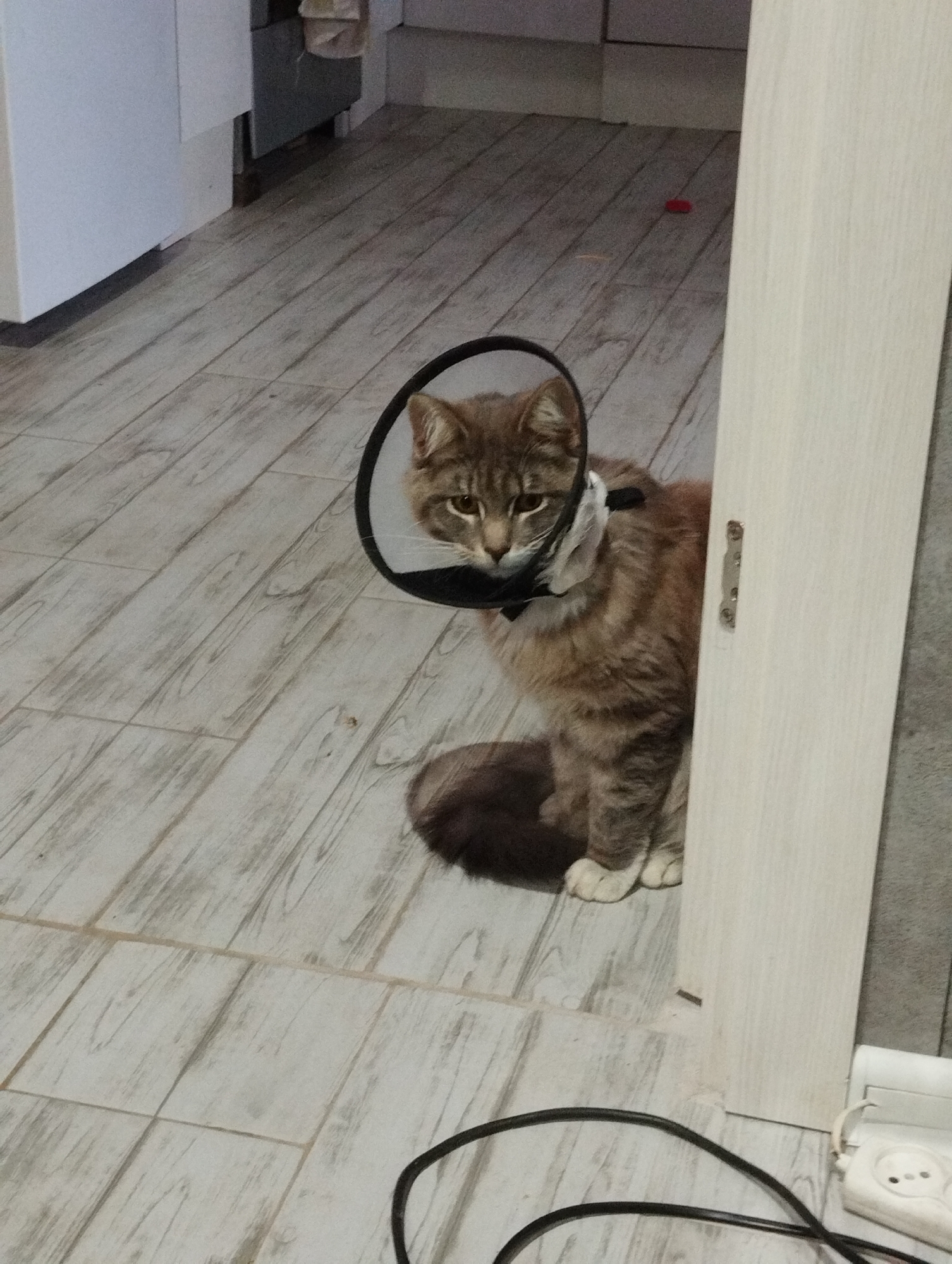 A medium-sized, long-haired, brown and gray tabby cat wears a black plastic Elizabethan collar. The cat sits on a light-colored wood-look tile floor with white grout lines. The cat faces forward with its head slightly down, and its white paws are visible. A white doorframe stands to the right of the cat. A black electrical cord and a white electrical outlet are on the floor in the lower right. A white cabinet is visible in the upper left. A small red object is on the floor in the background. The location is possibly Grishanki, Russia.