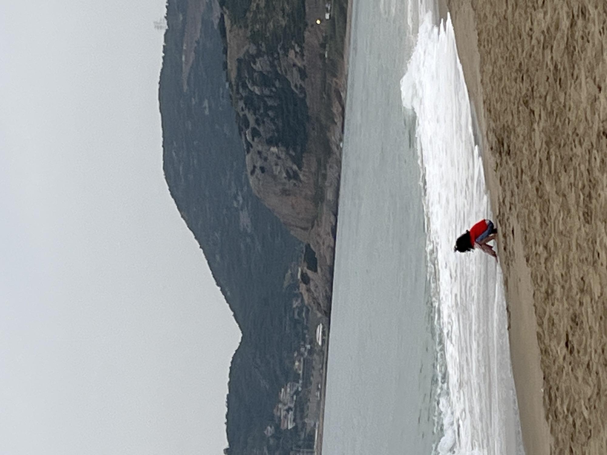 This image captures a serene coastal landscape, likely Alanya, Turkey, under an overcast sky. The scene is dominated by a sandy beach, the sea, and a prominent mountain range.
In the immediate foreground, a small person, possibly a child, is seen crouched low at the edge of the water. They are wearing a red top and blue shorts, appearing to interact with the wet sand or the breaking waves. Gentle white foamy waves are washing onto the light brown sandy beach where the child is situated.
The middle ground consists of the calm, greyish-blue expanse of the sea, stretching towards the horizon.
In the background, a large, dark mountain rises steeply, its rugged slopes covered in what appears to be sparse vegetation and rocky outcrops. Along the base of this mountain, subtle indications of human habitation, such as scattered buildings and structures, can be seen, hinting at a coastal town or village nestled against the mountainside.
The overall mood is quiet and natural, with the cloudy weather softening the light. There is no visible text in the image.