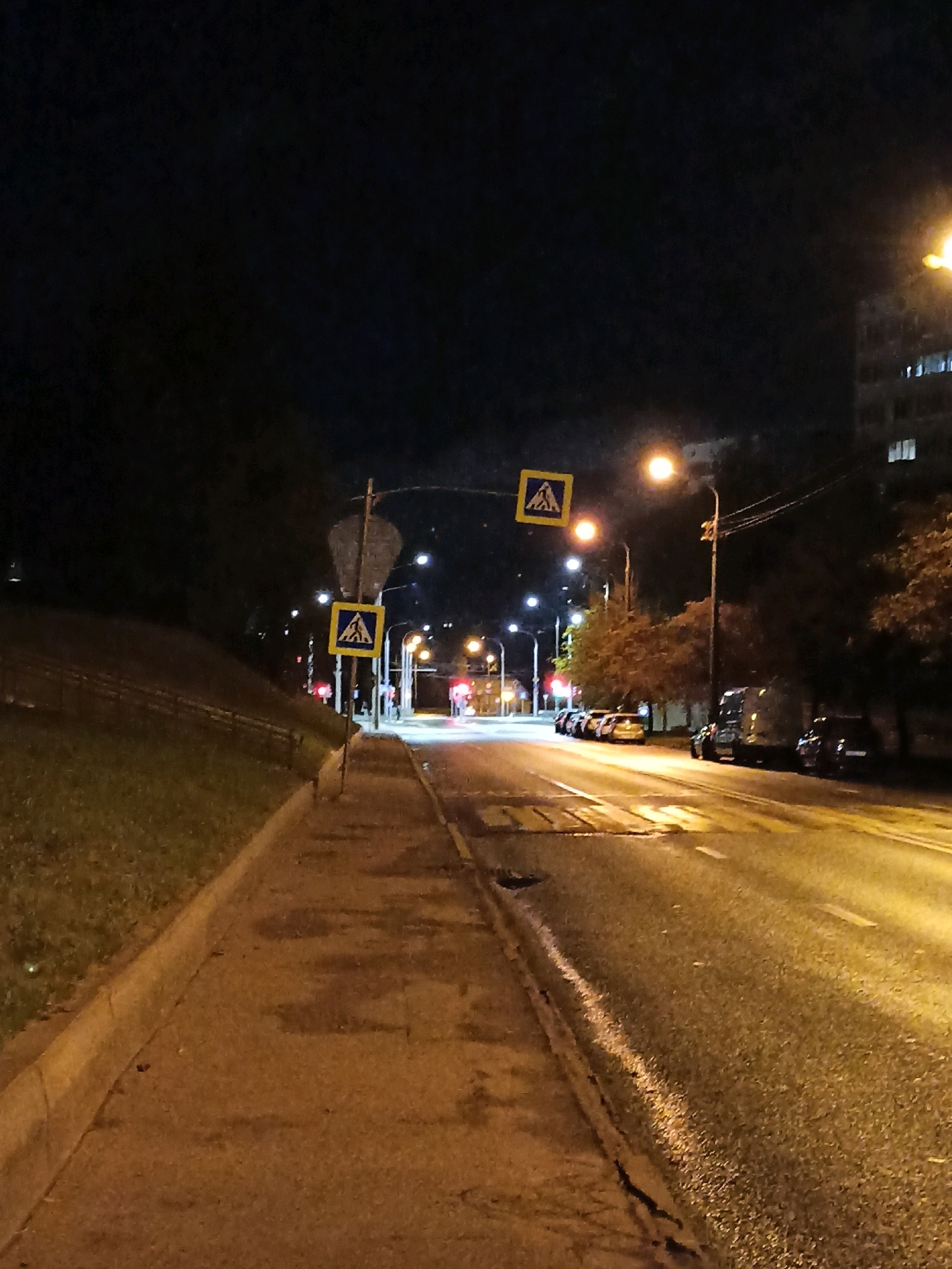 The image depicts a street scene at night in Minsk, Belarus. A sidewalk runs along the left side of the image, bordered by a grassy slope. The road is wet, reflecting the light from street lamps and headlights. Several cars are parked along the right side of the road, and a speed bump is visible in the foreground. Two pedestrian crossing signs are present. One is on a pole to the left of the sidewalk, and another is hanging from a wire overhead. A building is visible in the background on the right. The overall atmosphere is dark and illuminated by artificial lights.