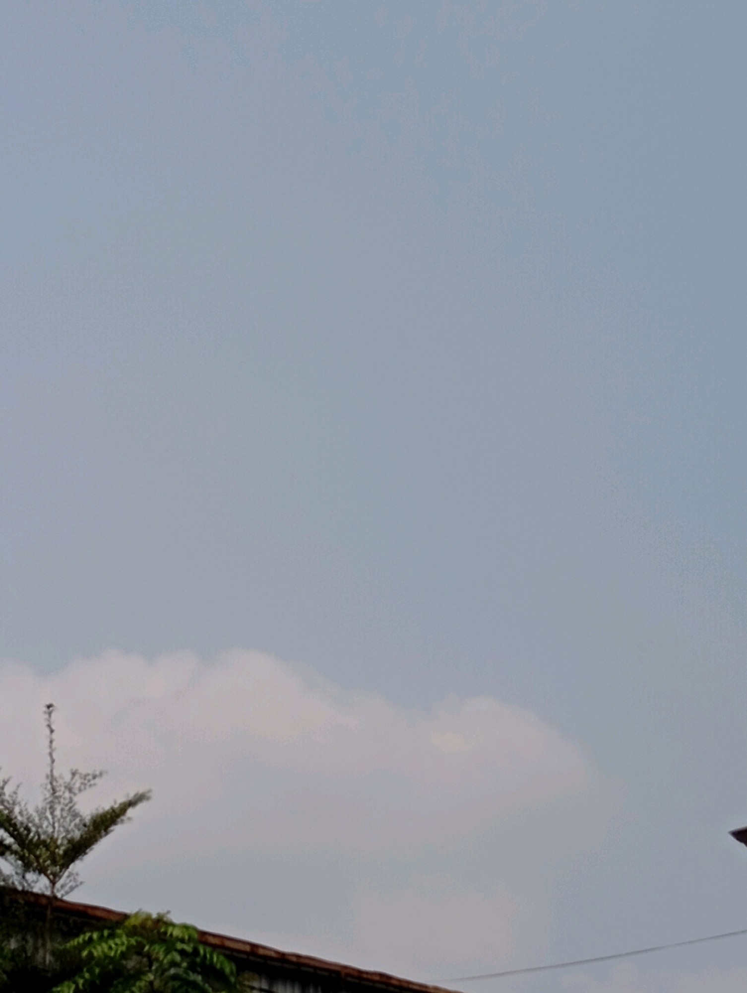 The image shows a clear sky with a few scattered clouds. In the foreground, the top of a building with a reddish-brown roof is visible, along with some lush green foliage. A small, sparse tree with dark branches extends upwards into the sky from the roofline. The scene appears to be an outdoor view, possibly taken from a higher vantage point overlooking a residential or commercial area. The overall impression is of a bright, possibly warm day in Babelan, Indonesia.