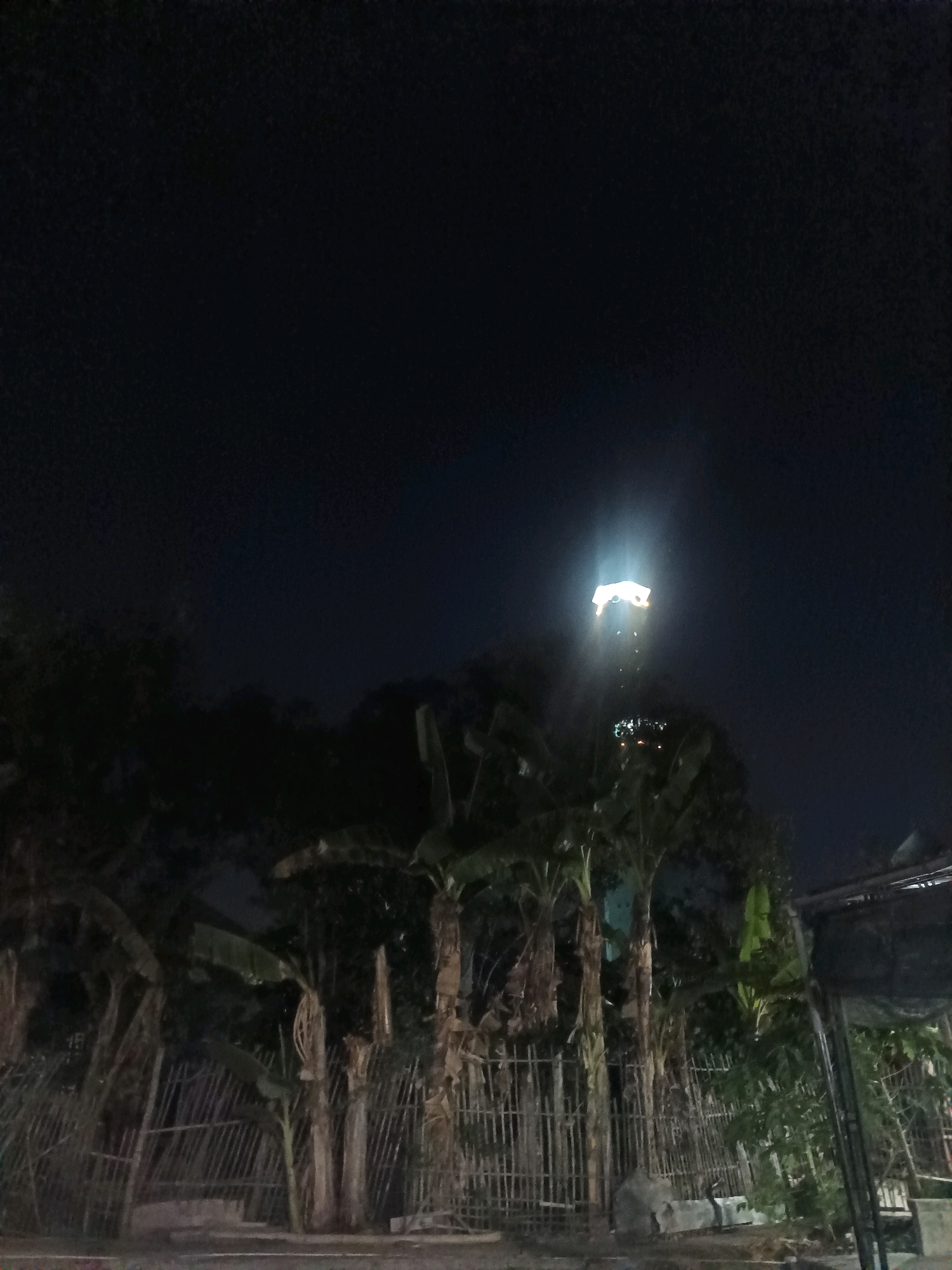 In the city of Gunung Sekar, Indonesia, at night, a bright, rectangular object, possibly a light or banner, hangs suspended in the dark sky, emitting a strong glow that illuminates the surrounding area. Below the object, silhouetted figures can be seen gathered, their forms indistinct against the night. A cluster of banana trees stands prominently in the foreground, their broad leaves creating a dark, textured backdrop. A metal fence, partially obscured by the vegetation, runs across the lower portion of the scene, suggesting a boundary or enclosure. The overall atmosphere is one of nighttime activity, with the illuminated object and the gathered figures suggesting an event or gathering.