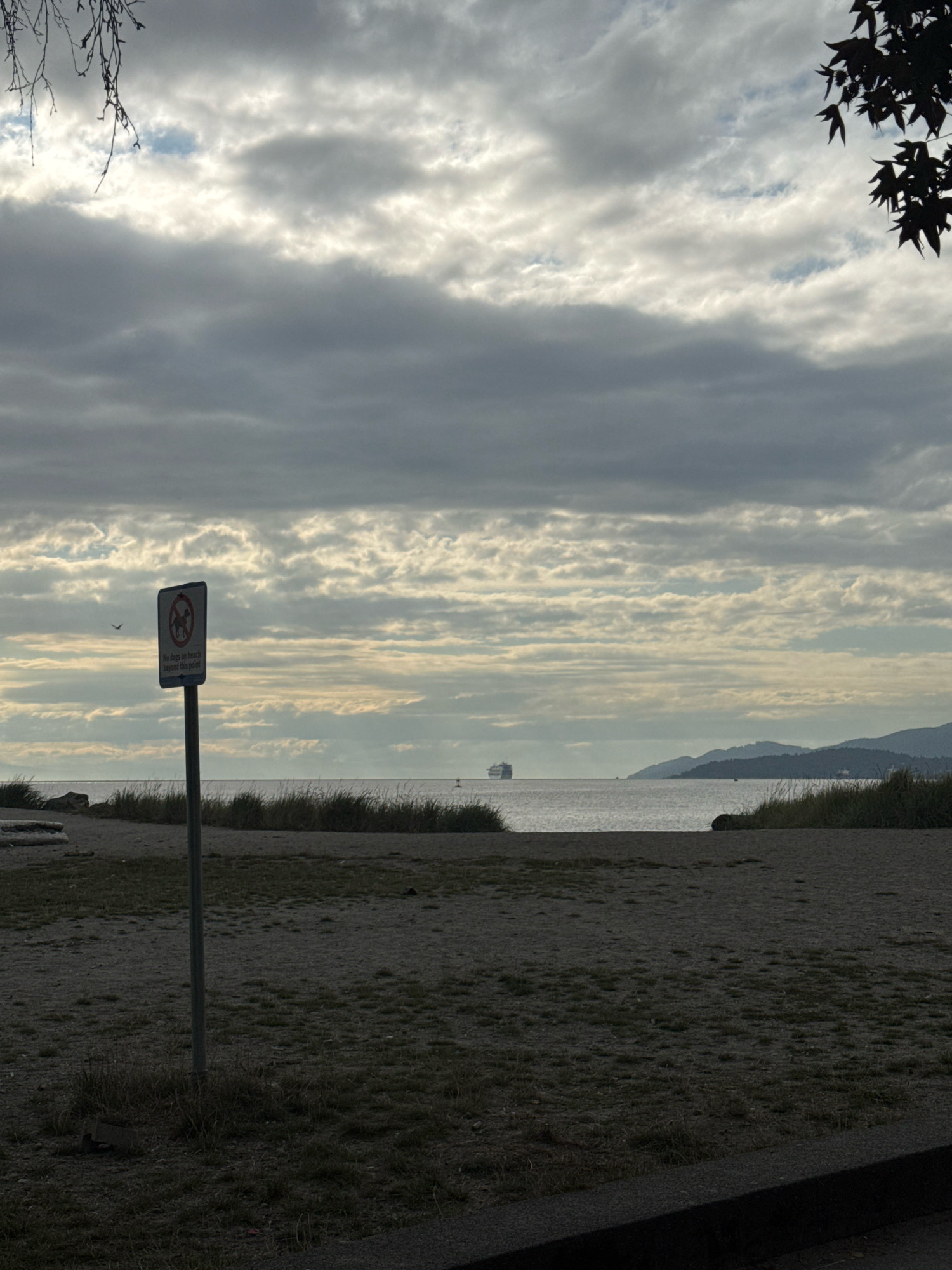 The image captures a cloudy day at a beach in West Vancouver, Canada. In the foreground, a sandy beach area is visible with some dry grass and a dark paved path. A signpost with a "No Dogs on Beach Beyond This Point" symbol stands prominently on the left. In the middle ground, the calm water of the ocean stretches towards the horizon, with a large ship visible in the distance. The background features a hazy coastline with rolling hills under a dramatic, cloud-filled sky. The overall scene suggests a quiet, overcast day at the seaside, with regulations in place regarding pet access.