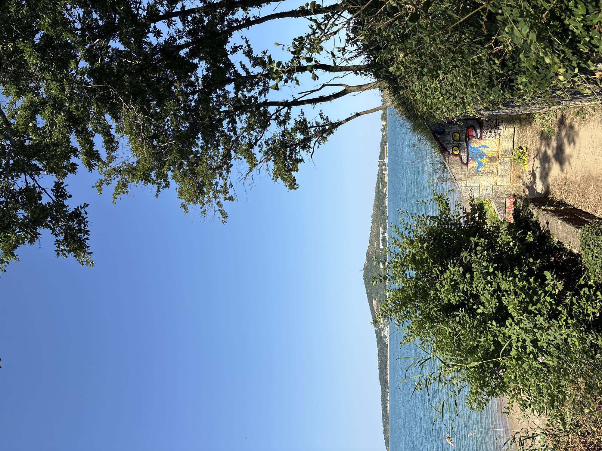 The image depicts a section of the coastal path near the Sea Garden in Burgas, Bulgaria. A dirt path lined with dense green foliage and overgrown vegetation leads towards the sea. On the right side of the path, a stone wall features graffiti, including a cartoonish depiction of a cat-like creature with yellow eyes and blue tongue, along with some illegible text. To the left, a sandy beach borders the calm, blue sea. In the distance, across the water, a peninsula is visible, covered in trees and featuring a hill topped with a structure, likely a landmark or communication tower. The sky above is a clear, vibrant blue, indicating a sunny day. The image captures a natural and somewhat unkempt area adjacent to the urban coastline of Burgas.