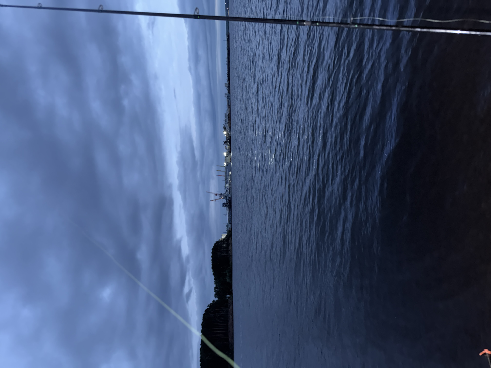 The image captures a twilight or heavily overcast scene over a large body of water in the city of Chaikovsky, Russia. The sky is dominated by dark, dense blue-grey clouds. In the foreground, two fishing rods are partially visible. On the right, a dark fishing rod extends vertically into the frame, with visible line guides and fishing line leading into the water. On the left, a bright, reflective fishing line diagonally crosses the upper-left quadrant of the sky. Near the bottom-left corner, an orange object, possibly a fishing bobber or tackle component, rests close to the water's edge.
The water surface is dark, with visible ripples and small waves, reflecting the dim light from the sky and distant shore. The distant shoreline on the left is covered by a dense, dark forest composed of tall, slender trees, likely conifers. To the right of the forest, an extensive industrial port or complex is situated along the water's edge. This complex features multiple large structures, including prominent red and white cranes, numerous buildings, and ships or barges docked at a quay. Artificial lights are illuminated across the industrial site, creating distinct points of light against the darkened landscape. A partial sign on a structure or vessel in the industrial area appears to read "SPEED." No people are explicitly visible in the frame.