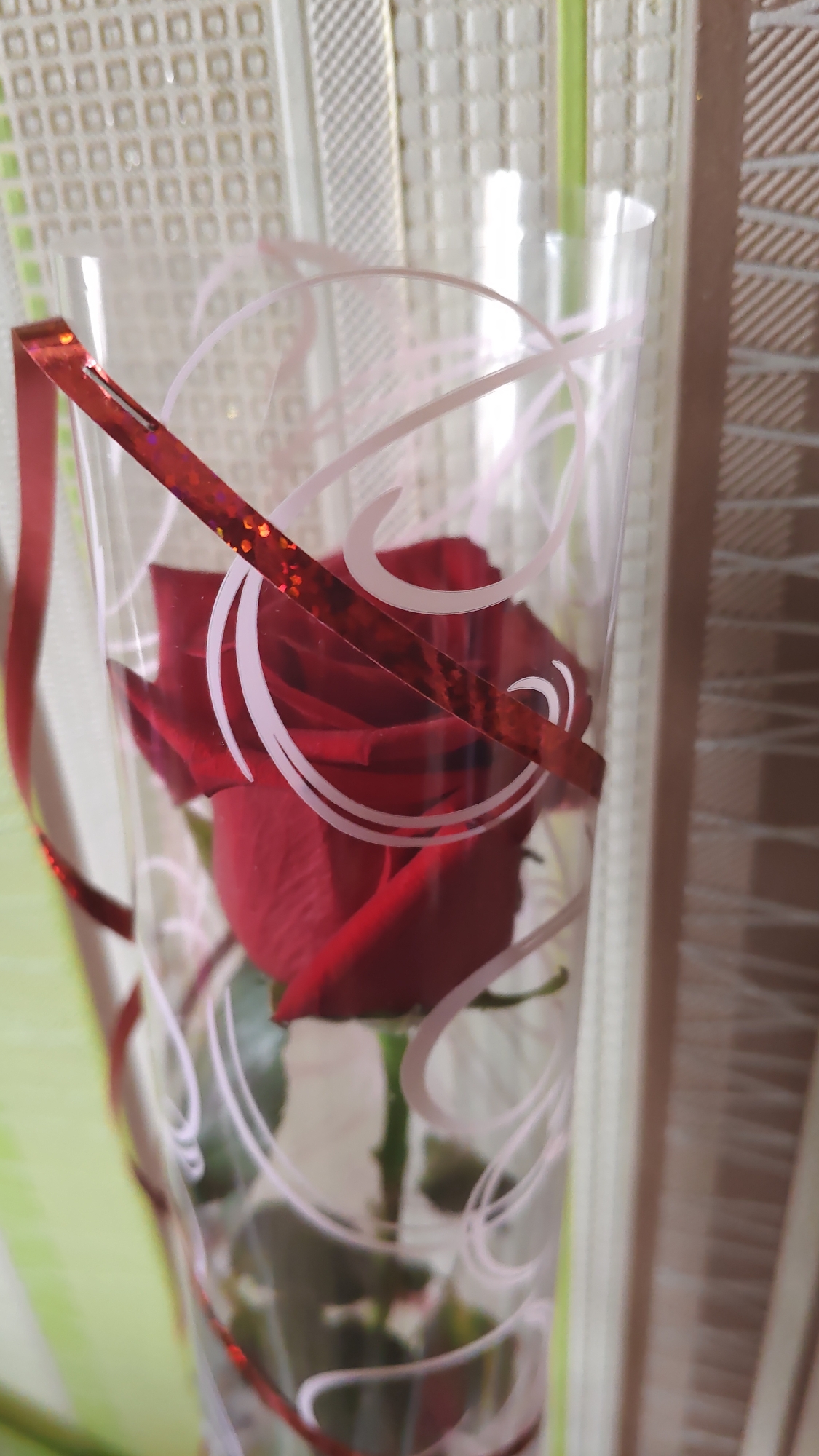 A single red rose is presented in clear plastic wrapping, tied with a red ribbon that has a glittery texture. The rose is the central focus, with its petals unfurled and its deep red color prominent. The plastic wrapping has a decorative pattern of swirling white lines. The background is blurred but appears to be indoors, with elements of what might be curtains or blinds in shades of beige and light green. There are no people or animals visible in the image, nor any indication of the city of Karabash, Russia. The scene is static and appears to be a still life presentation of a flower.