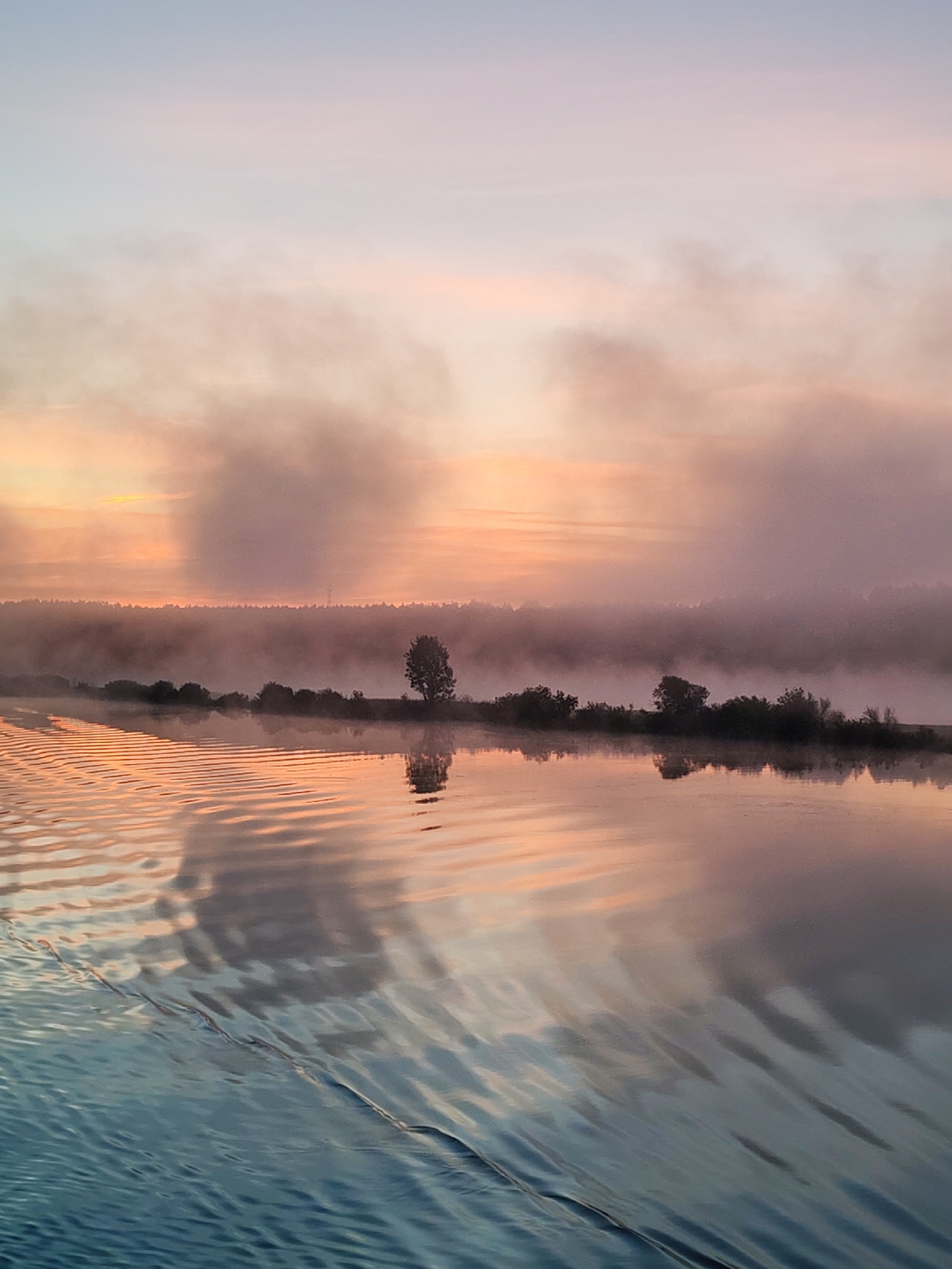 The image presents a serene natural landscape in Koptiushka, Russia, captured during what appears to be either sunrise or sunset. The sky displays a gradient of soft colors, transitioning from light lavender and pale blue at the top to warm pink, orange, and purple hues closer to the horizon. Thick atmospheric fog or mist is prevalent, particularly across the middle ground, obscuring parts of the distant landscape and lending a diffused quality to the light.
A horizontal band of dark, dense vegetation, consisting of trees and shrubs, forms a distant shoreline, partially submerged in the low-lying fog. A solitary, prominent deciduous tree stands on this landmass, positioned slightly to the right of the central axis. Above the treeline in the central distance, a faint, dark, vertical structure, possibly an electrical transmission tower, is barely discernible through the dense mist.
The lower half of the frame is dominated by a calm body of water, which perfectly reflects the colors of the sky and the fog, creating a mirrored effect of the distant shoreline and the prominent tree. Gentle ripples are visible across the water's surface, particularly in the foreground, where the water transitions from warmer orange and pink tones reflecting the sky to cooler blue and gray tones in the immediate foreground. There are no individuals or overt signs of human activity present within the immediate scene.