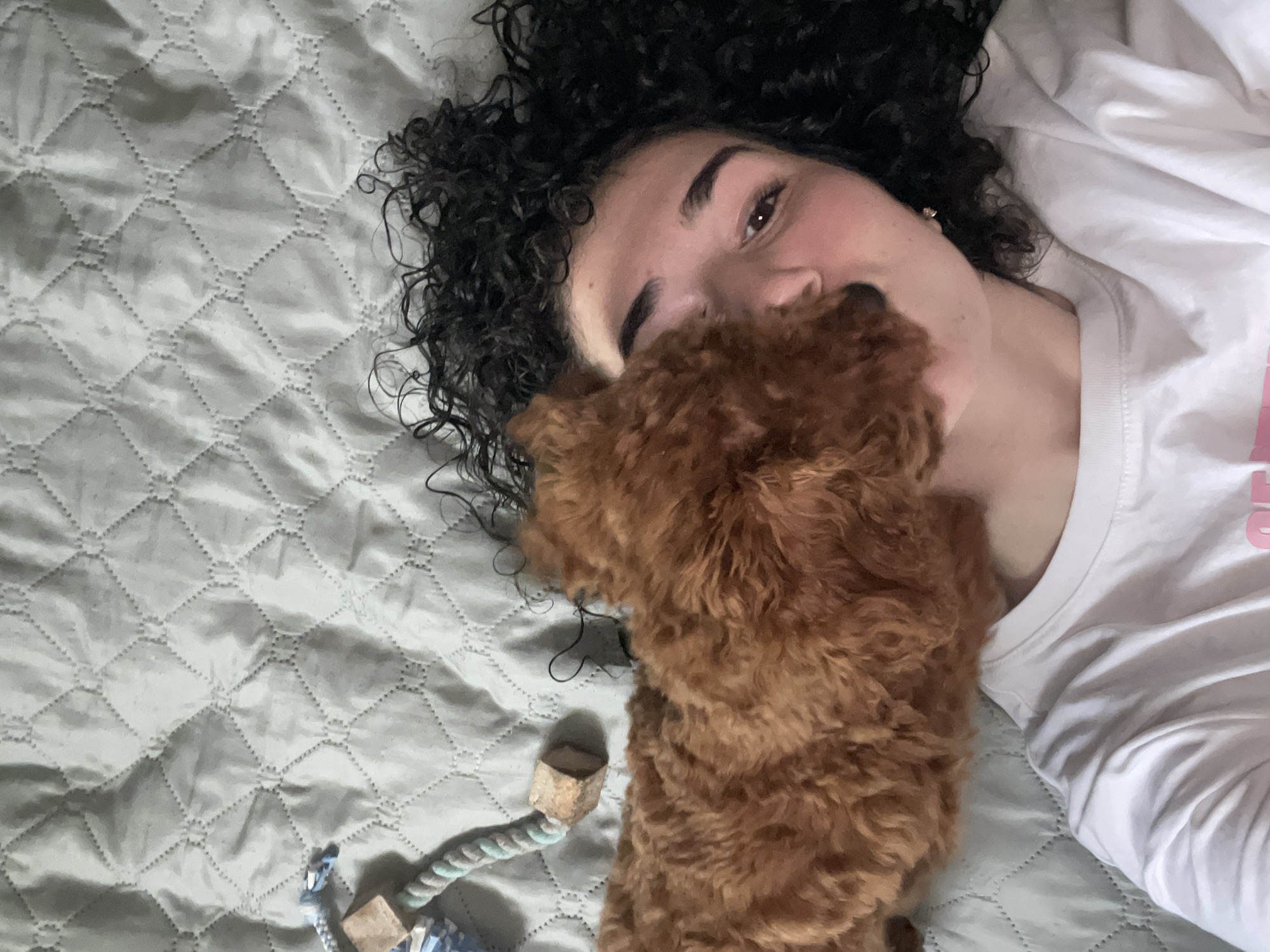 A woman with curly dark hair is lying on a light gray quilted surface, possibly a bed or blanket. A small brown poodle is positioned near her face, partially obscuring it. The woman is wearing a white t-shirt. To the left of the dog, a dog toy consisting of a rope and wooden blocks is visible. The location is unknown and no information is available to suggest that the photo was taken in Sofia, Bulgaria.