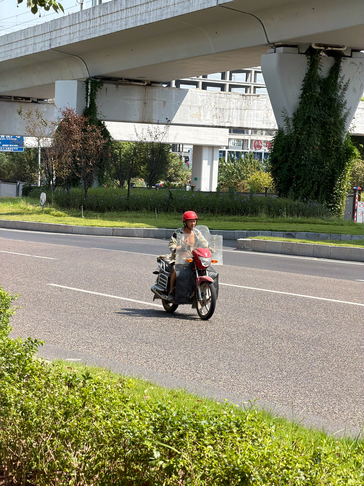 A man wearing a red helmet rides a red motorcycle with a sidecar on a paved road in Jiangjin, China. The man is wearing a light-colored, long-sleeved shirt and dark pants. The motorcycle has a clear windshield and a dark sidecar attached to the right side. The road has white lane markings. In the background, there is an elevated concrete structure, possibly a bridge or overpass, with vines growing on its support pillars. There are also trees and green grass along the side of the road. The scene appears to be in an urban or suburban area with infrastructure typical of a city.